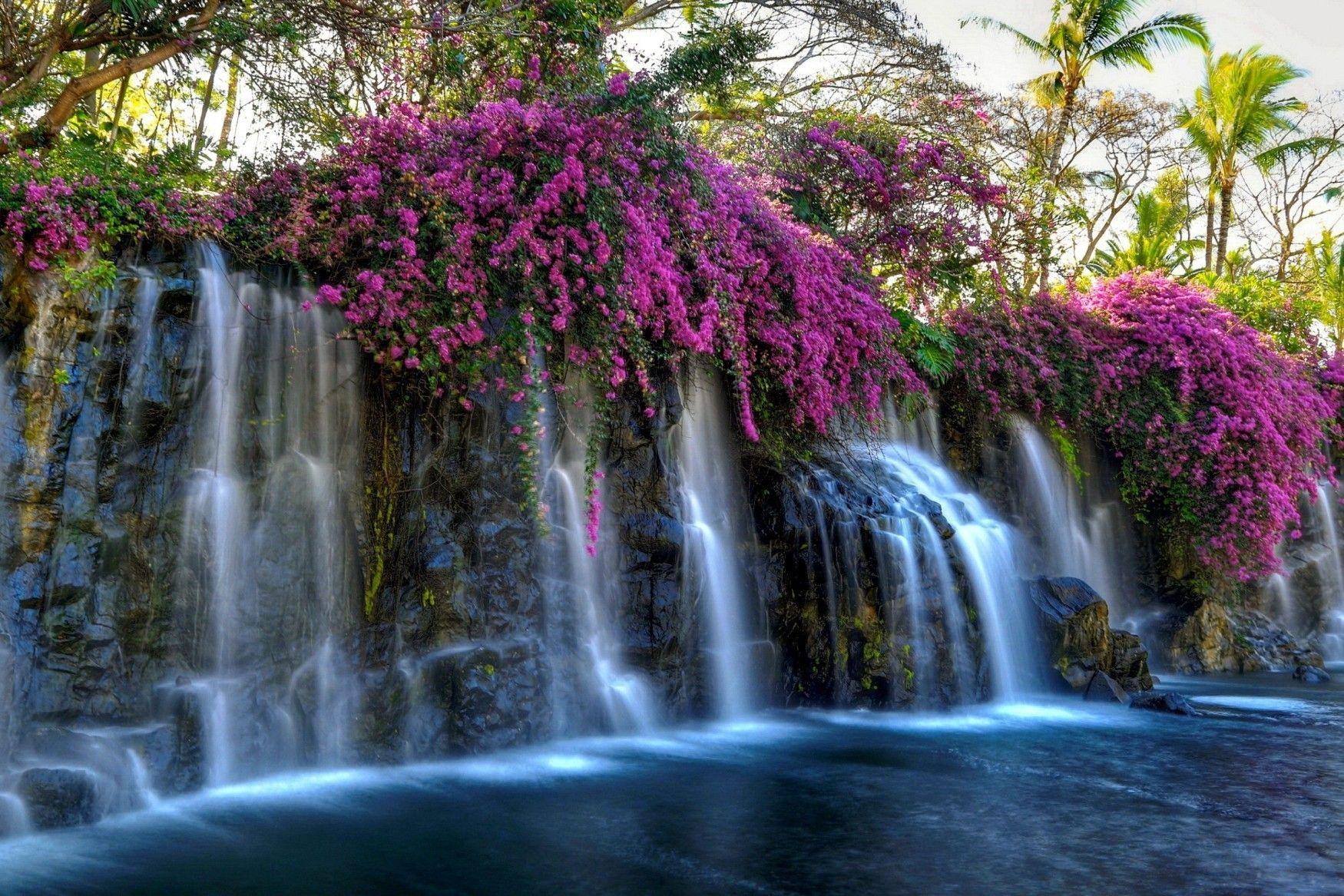 1750x1167 Download 1750x1167 Waterfall, Pink .