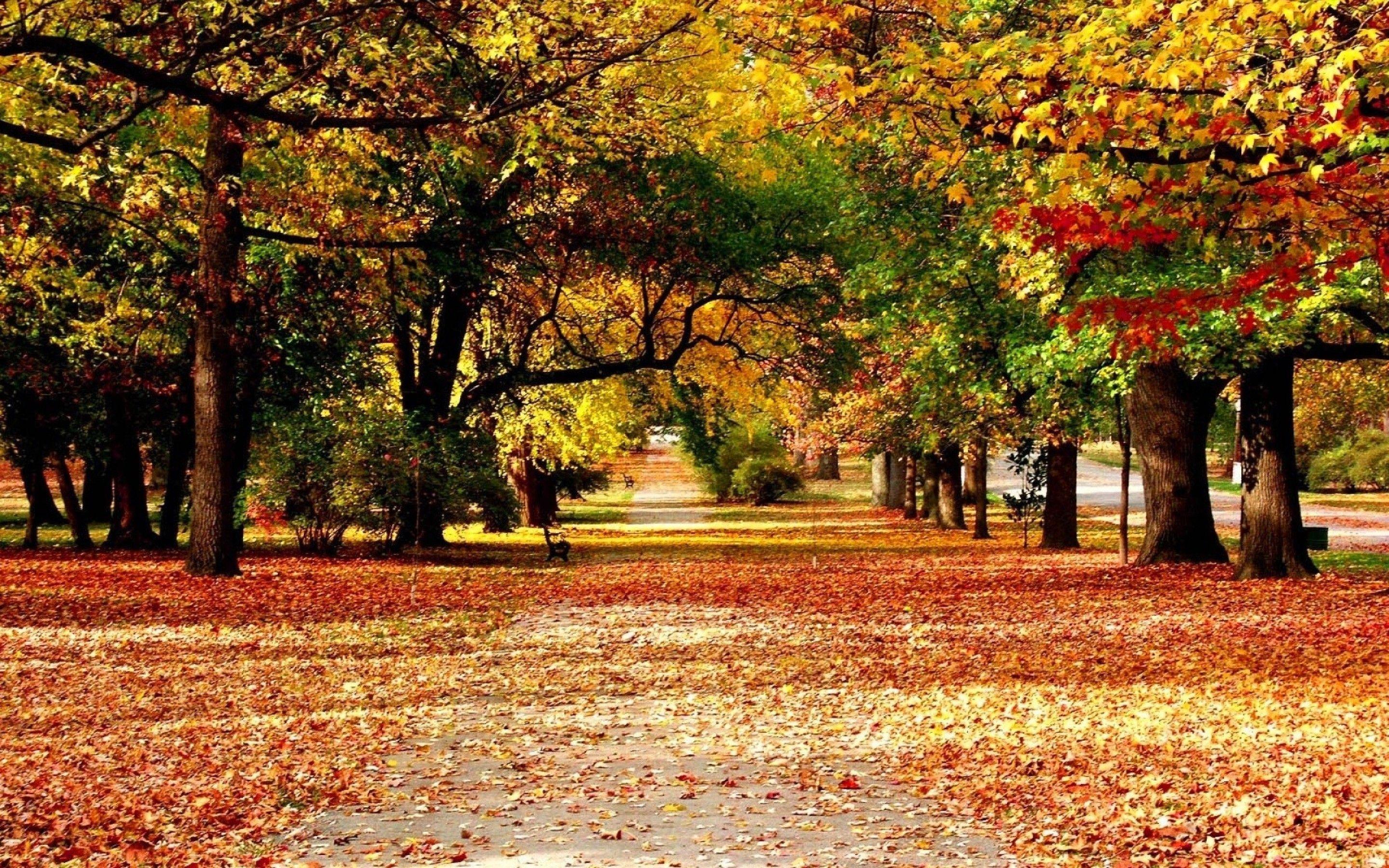 2880x1800 Autumn Park -