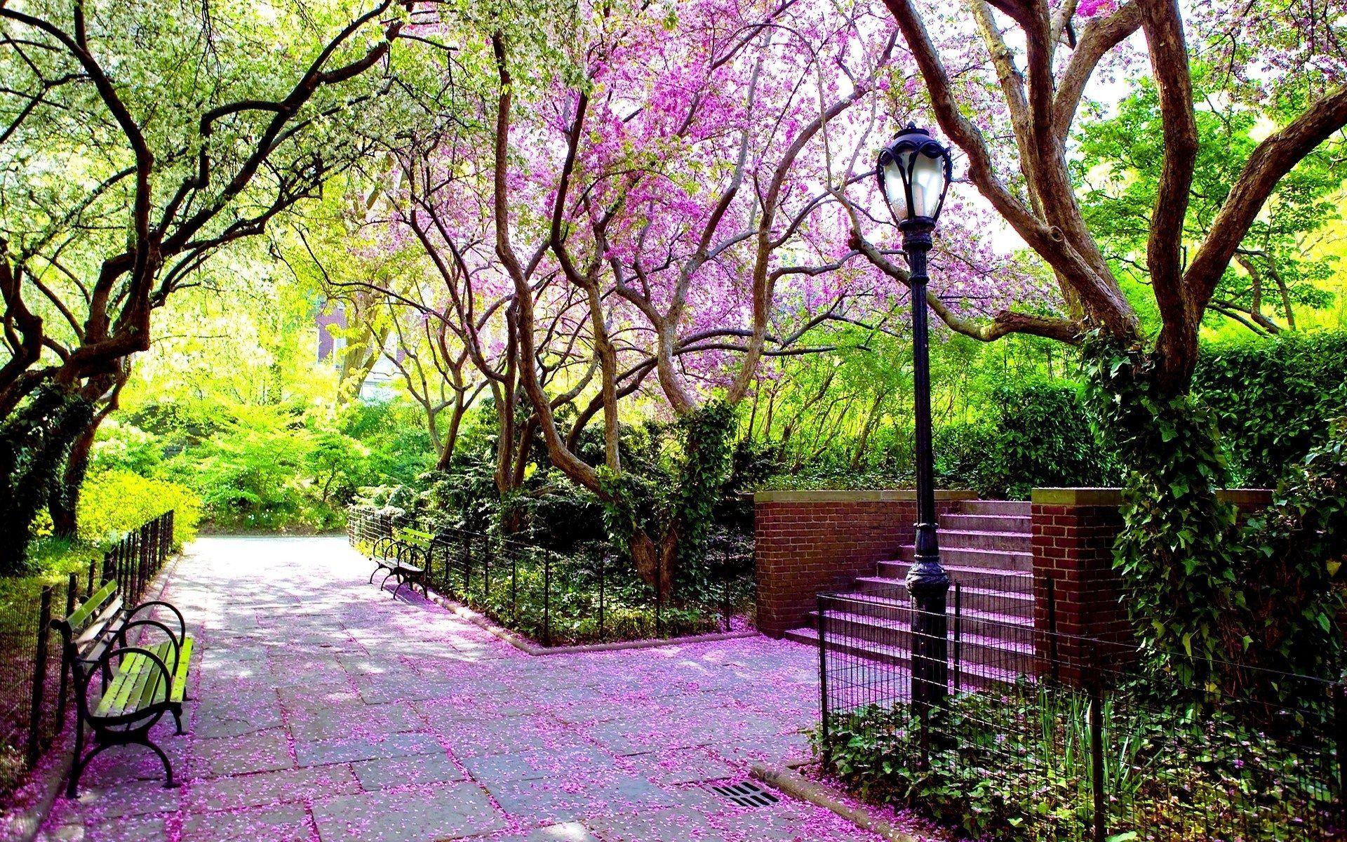 1920x1200 Beautiful Spring Park Wallpaper .