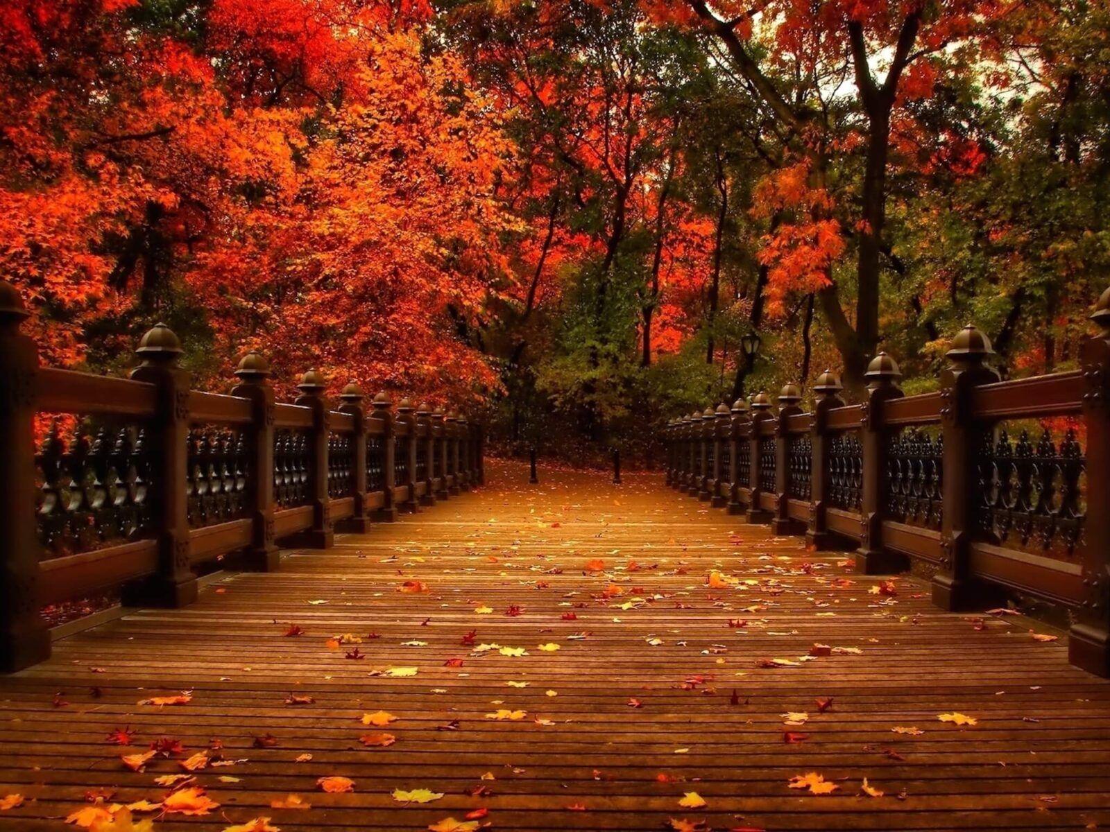 1600x1200 Autumn Park Bridge Wallpaper. Free .