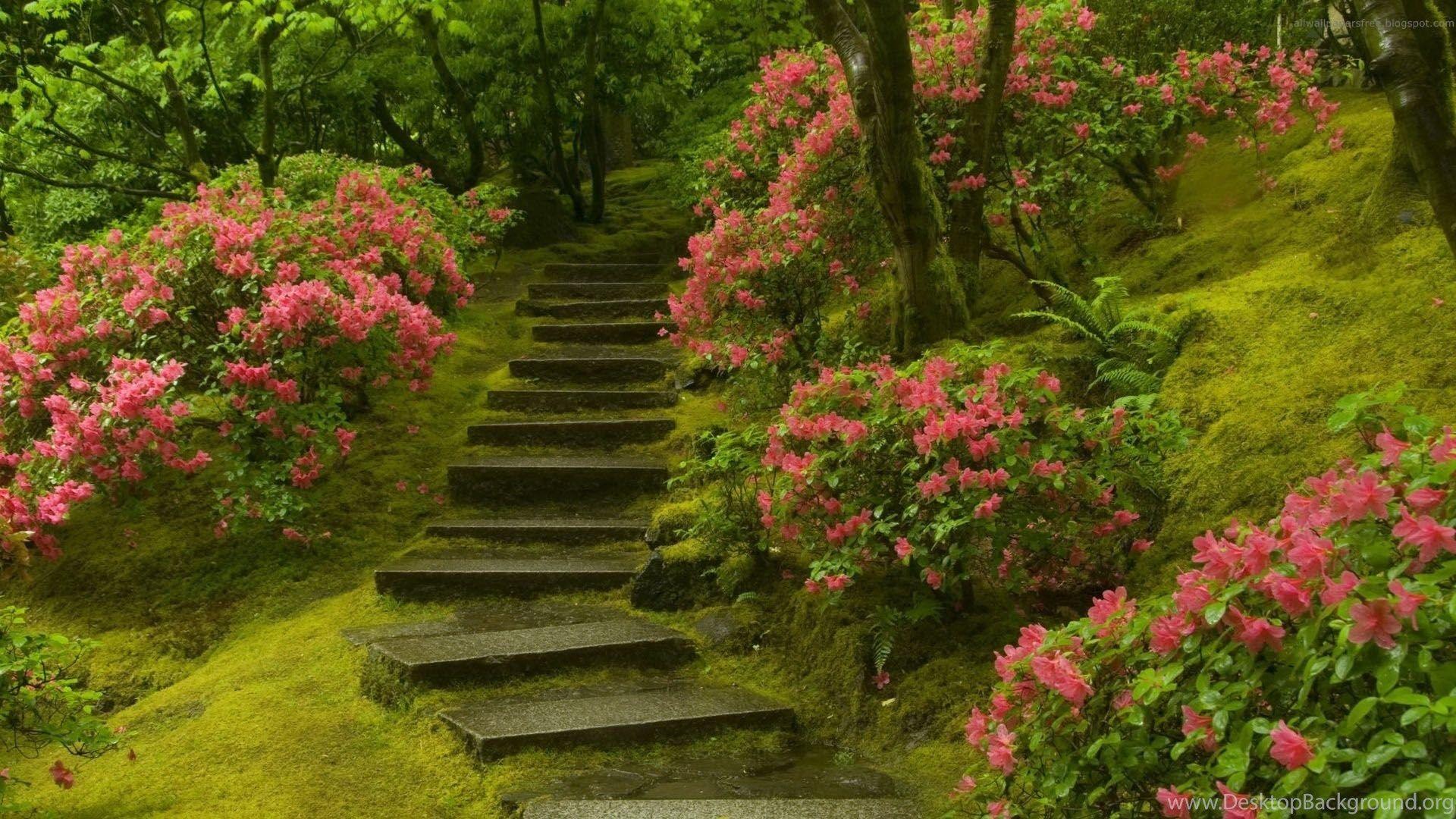 1920x1080 Gallery For Beautiful Park Wallpaper .
