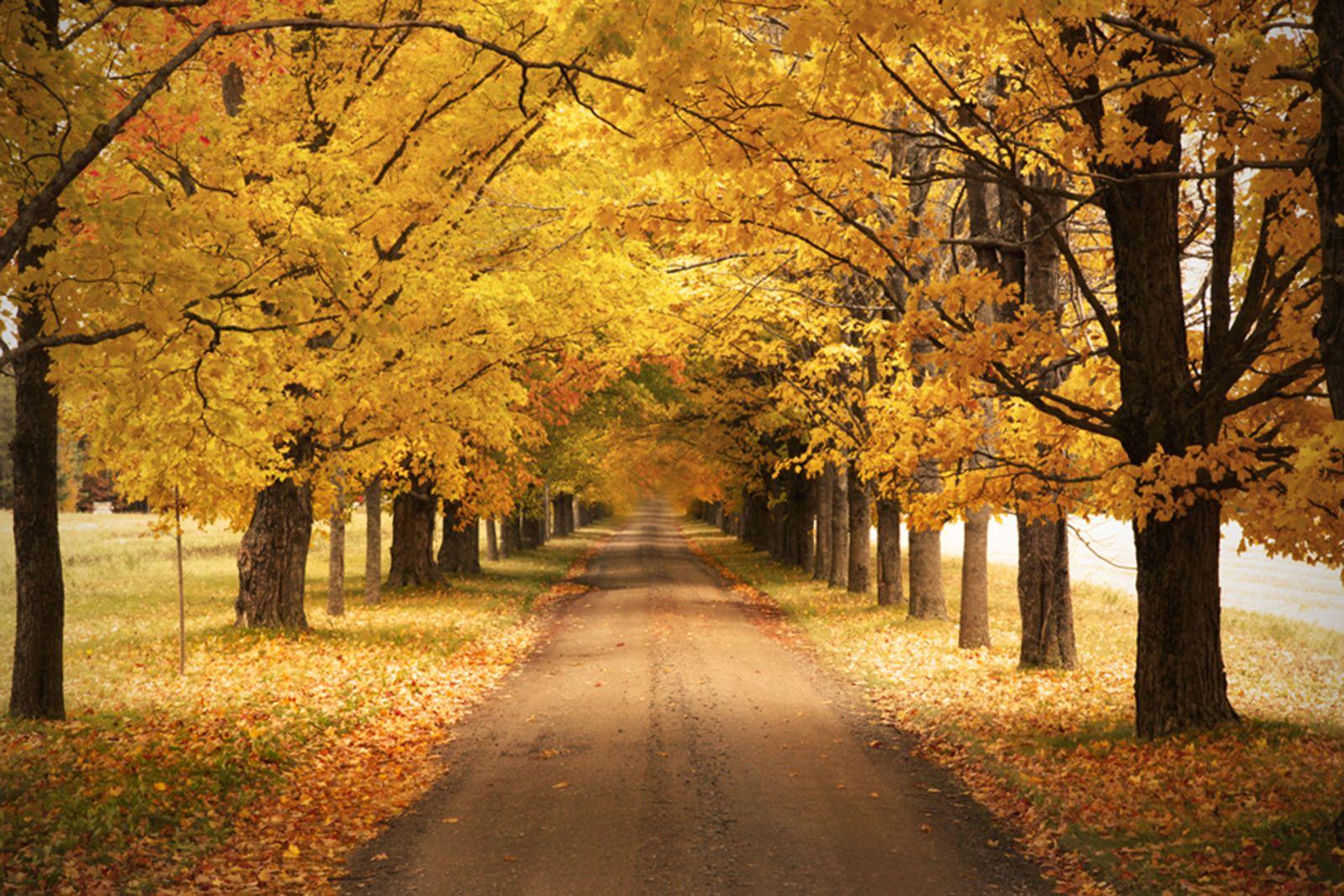 Canadian Autumn Wallpapers - Top Free Canadian Autumn Backgrounds ...