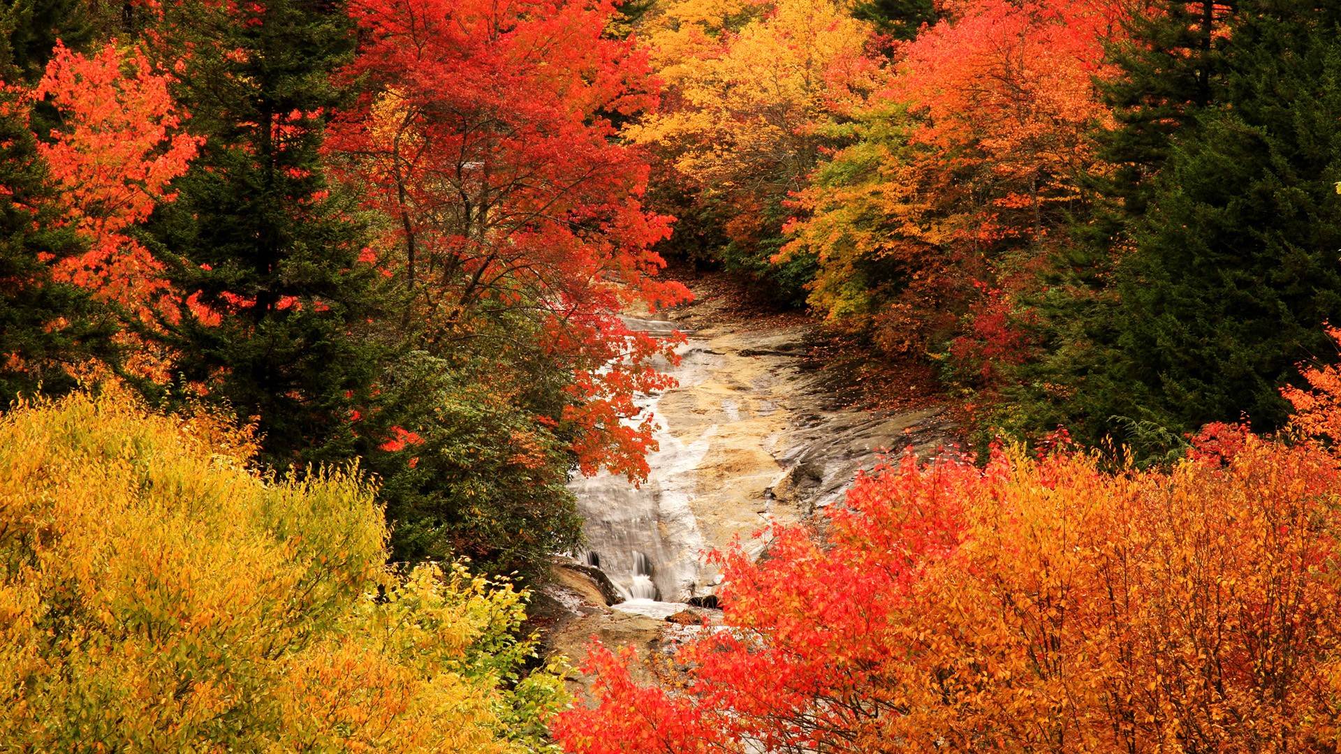 1920x1080 Canada Autumn