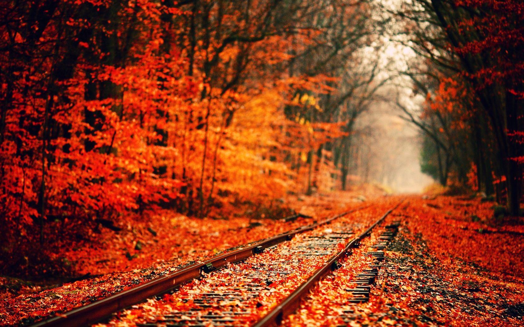1680x1050 Large Fall Wallpaper .