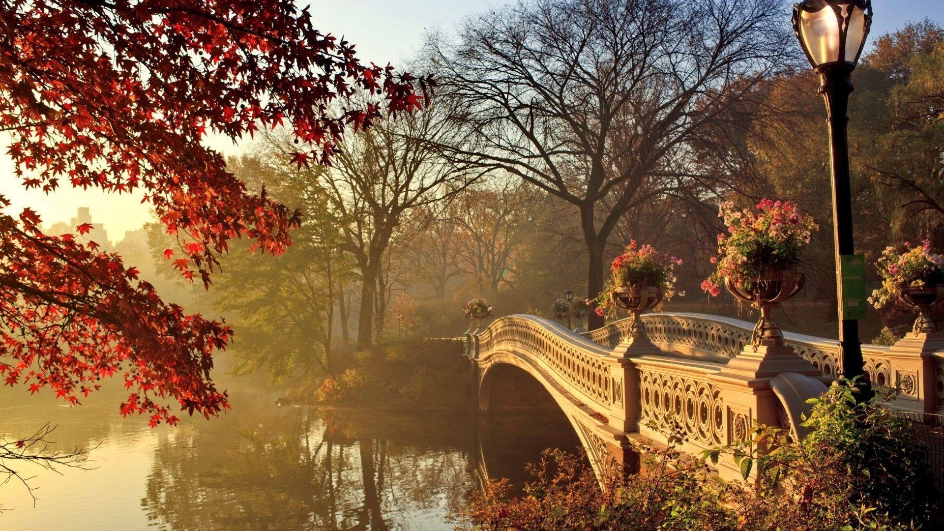 1920x1080 Download 1920x1080 Bridge, River .