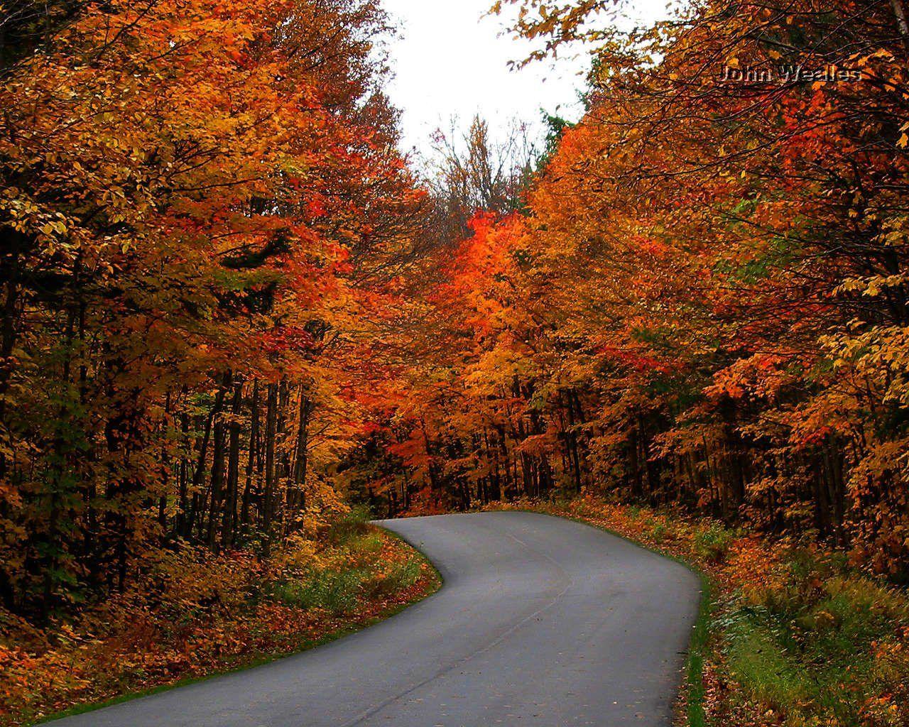 Canadian Autumn Wallpapers - Top Free Canadian Autumn Backgrounds ...