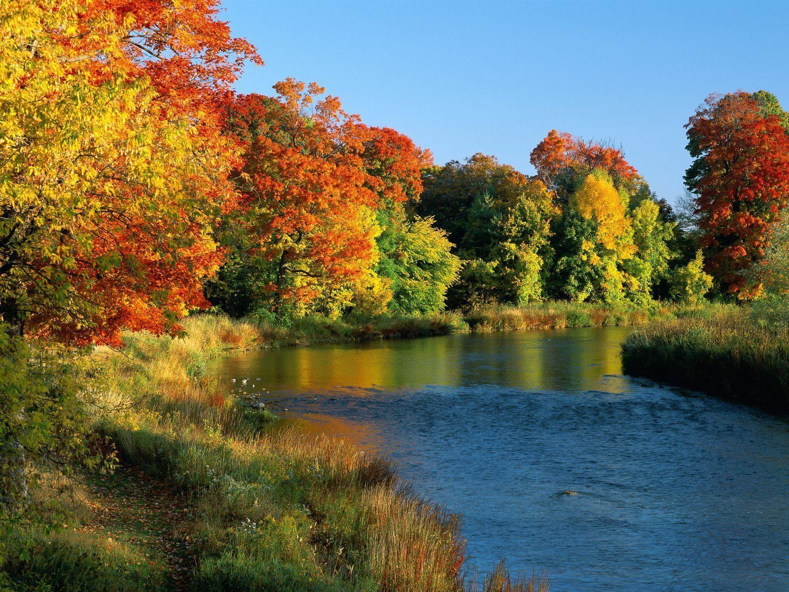 1600x1200 autumn landscape. Pond in autumn .dk
