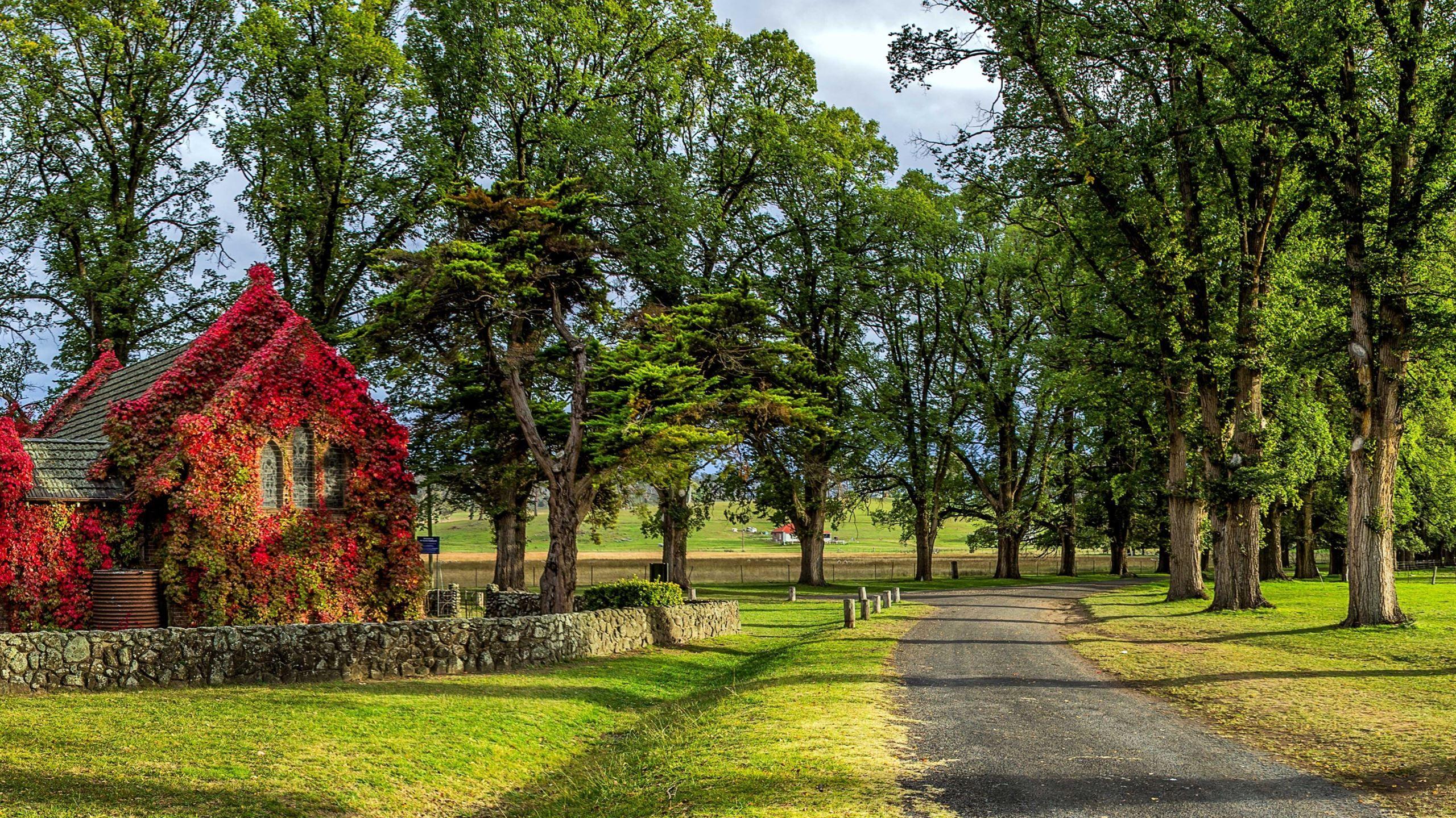 2560x1440 Beautiful park MacBook Air Wallpaper .