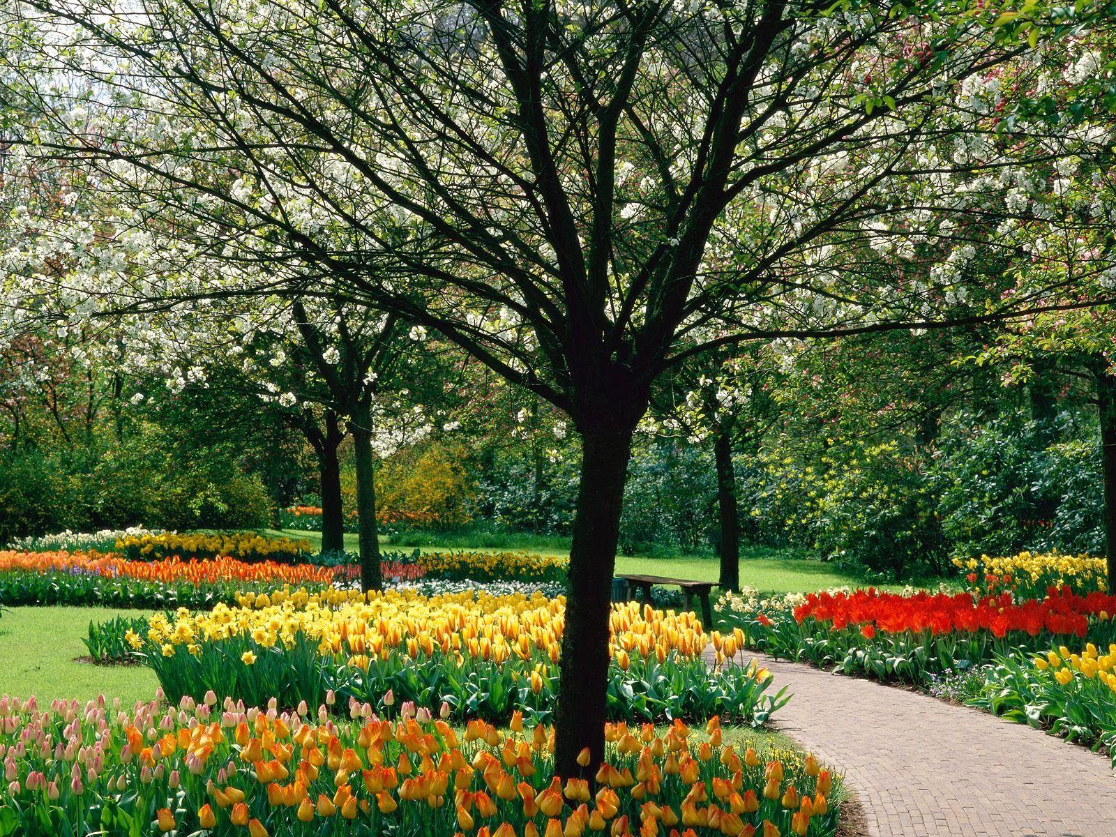 1600x1200 Beautiful Park Wallpaper. Nice Pics .nicepicz Gallery.