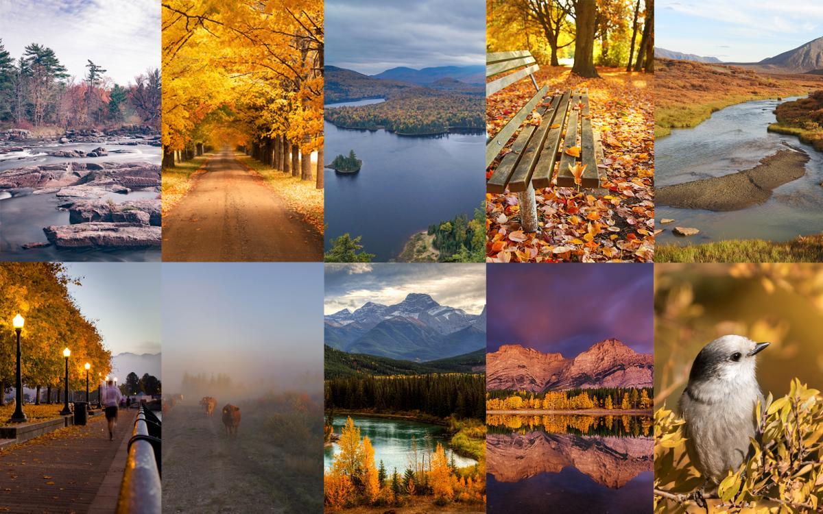 1200x750 amazing photo of autumn in Canada .canadiangeographic.ca