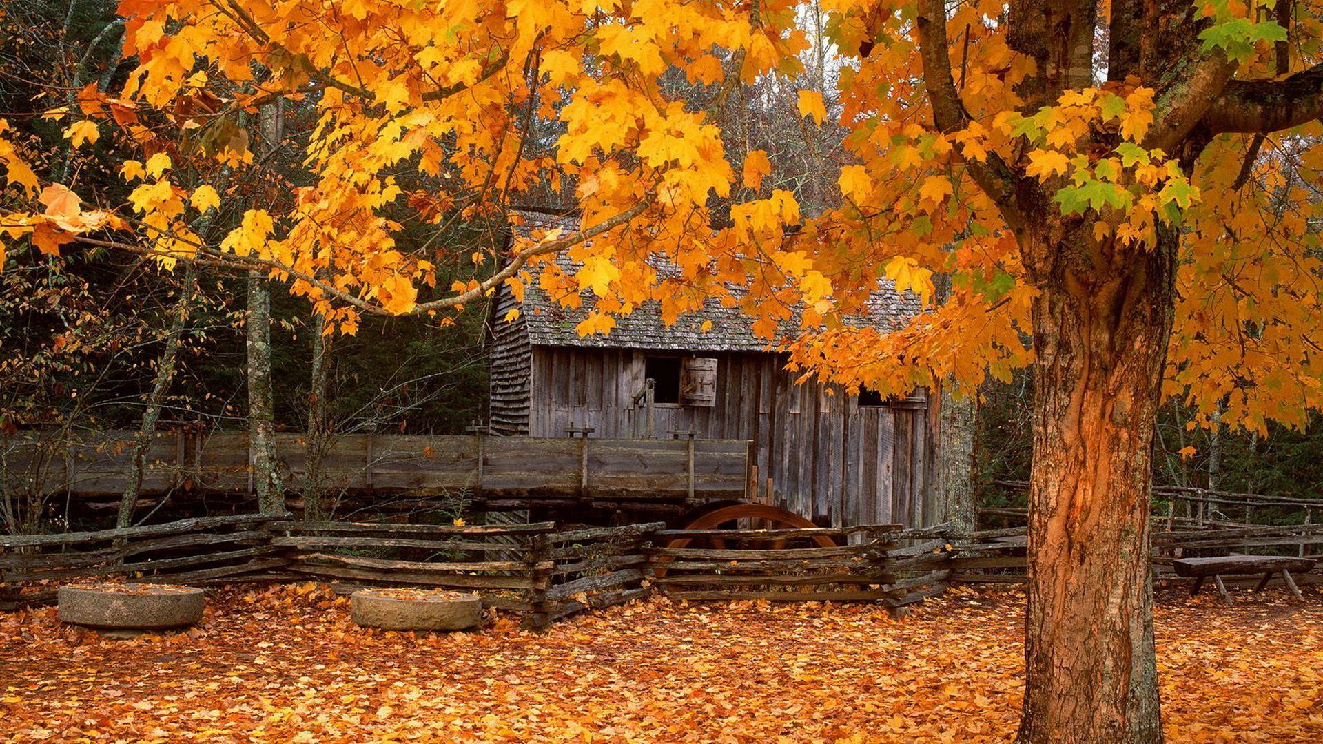 1920x1080 Autumn Background for Desktop .