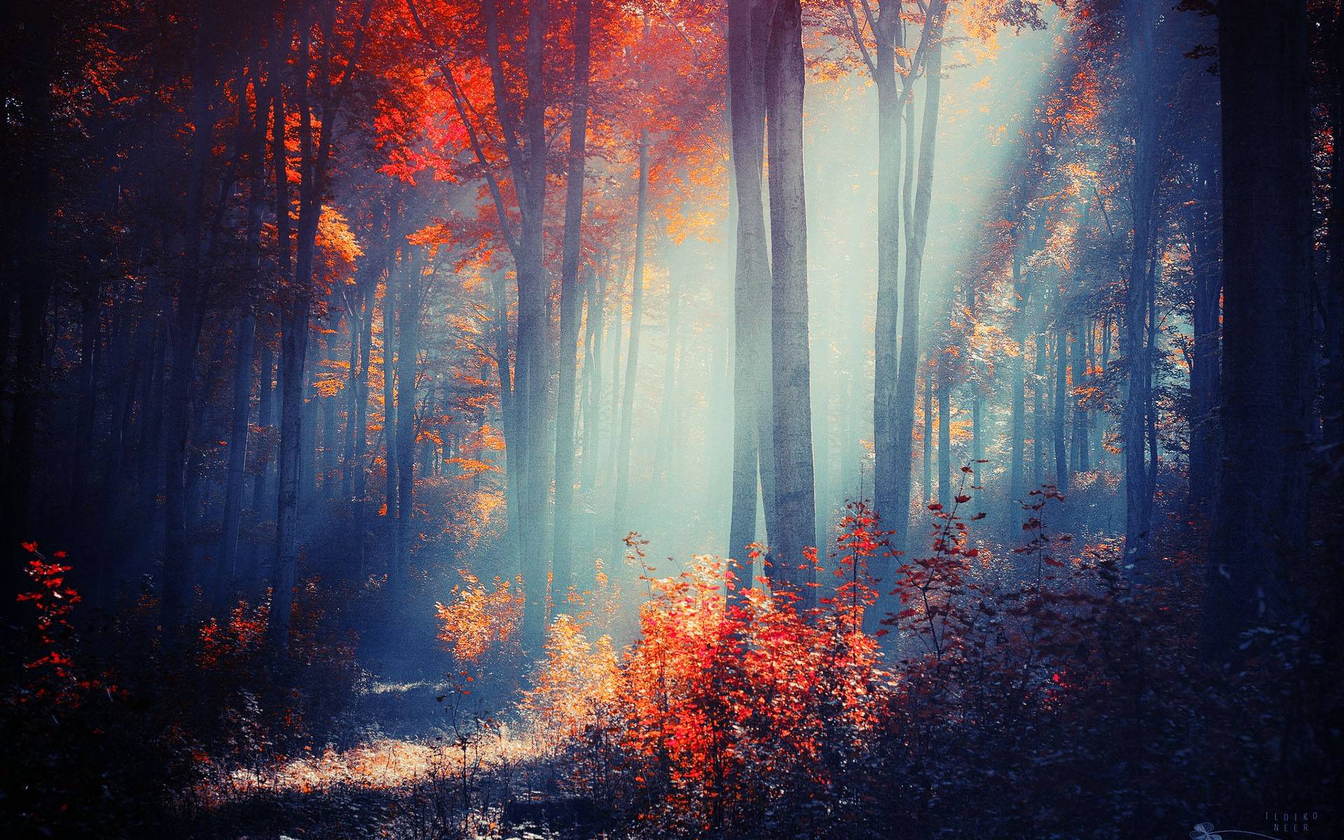 1920x1200 Best Wallpaper For Nokia Asha 210 .