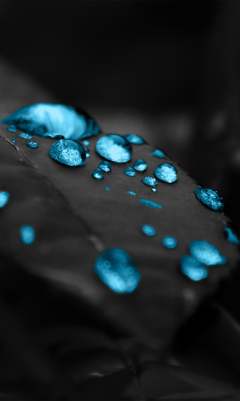 768x1280 Free download nokia Lumia 1320 .