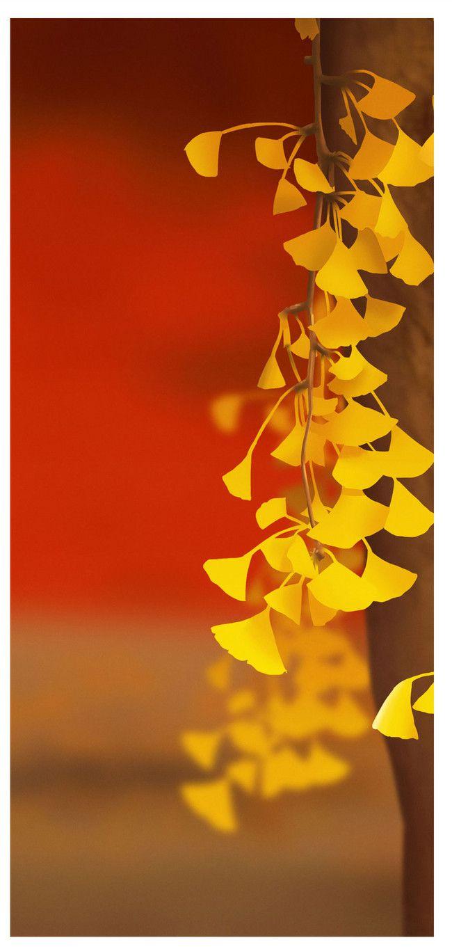 650x1361 Ginkgo Tree Mobile Phone Wallpaper .