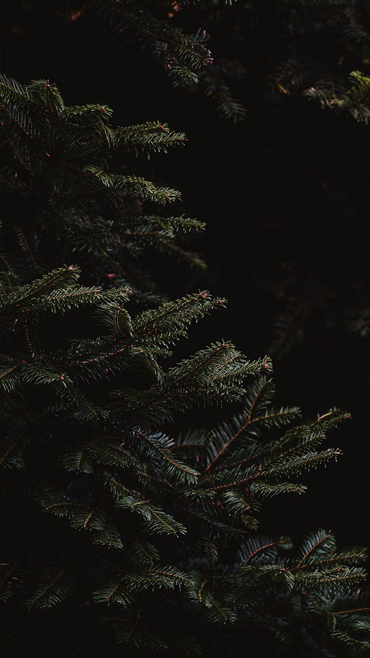 736x1308 Sparkly Christmas iPhone Xs Max Wallpaper