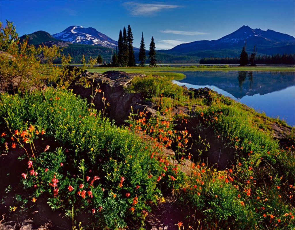 1024x800 Mt Bachelor Wallpaper .