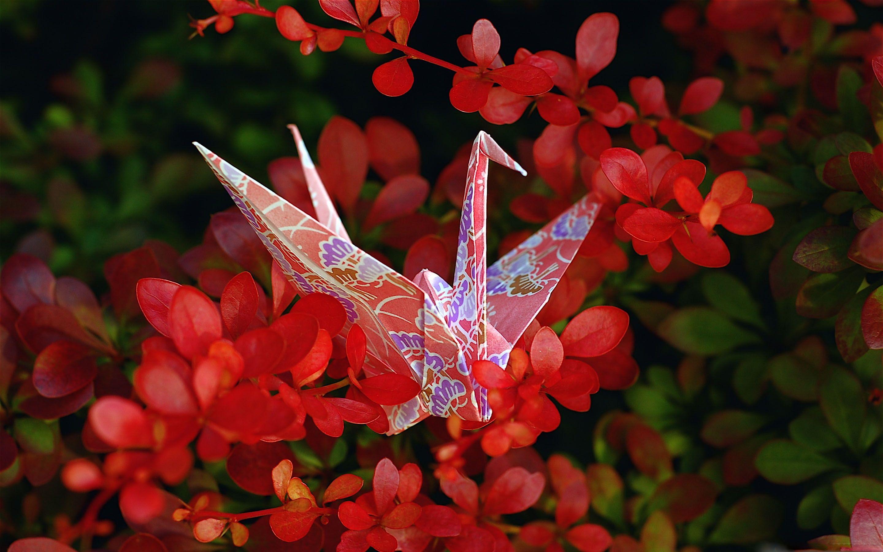 Origami Crane Wallpapers - Top Free Origami Crane Backgrounds