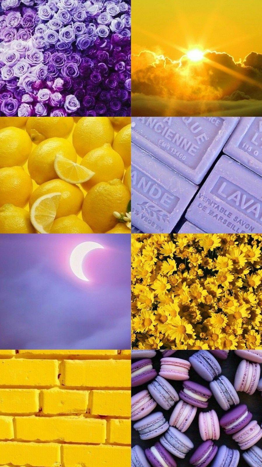 899x1600 Purple And Yellow Wallpaper .