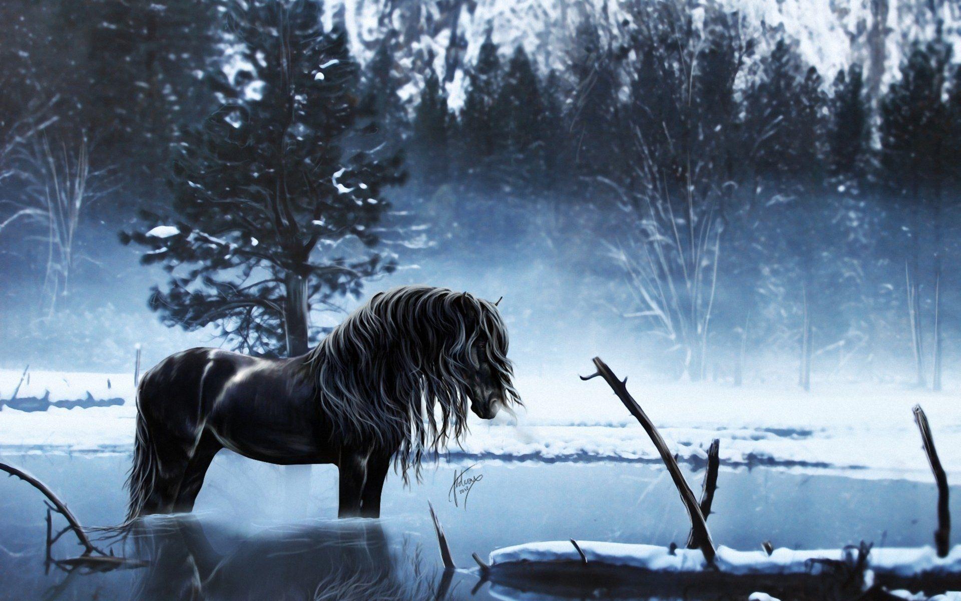 1920x1200 Winter Horse Wallpaper Desktop .
