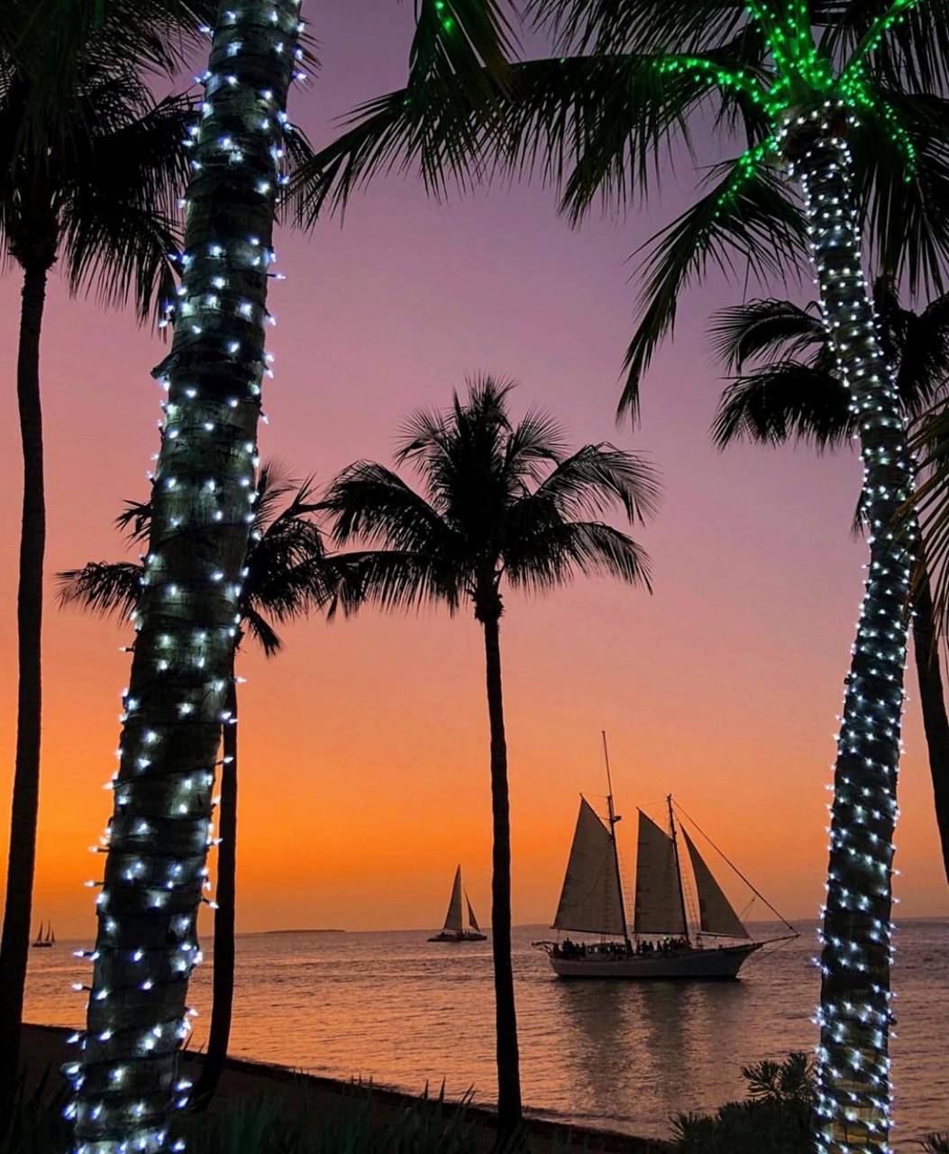 Beach Lights Wallpapers - Top Free Beach Lights Backgrounds ...