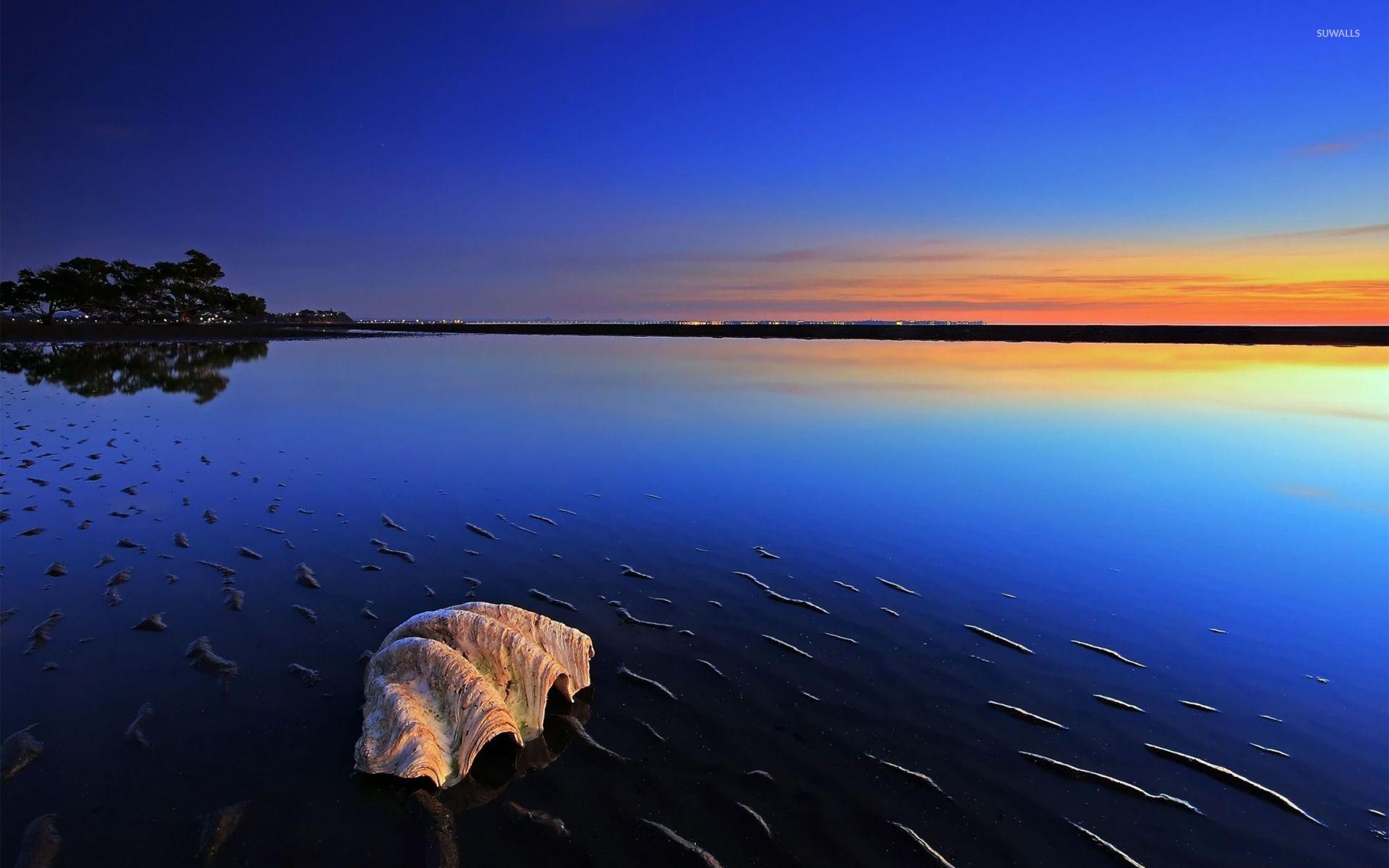 1920x1200 evening lights wallpaper .