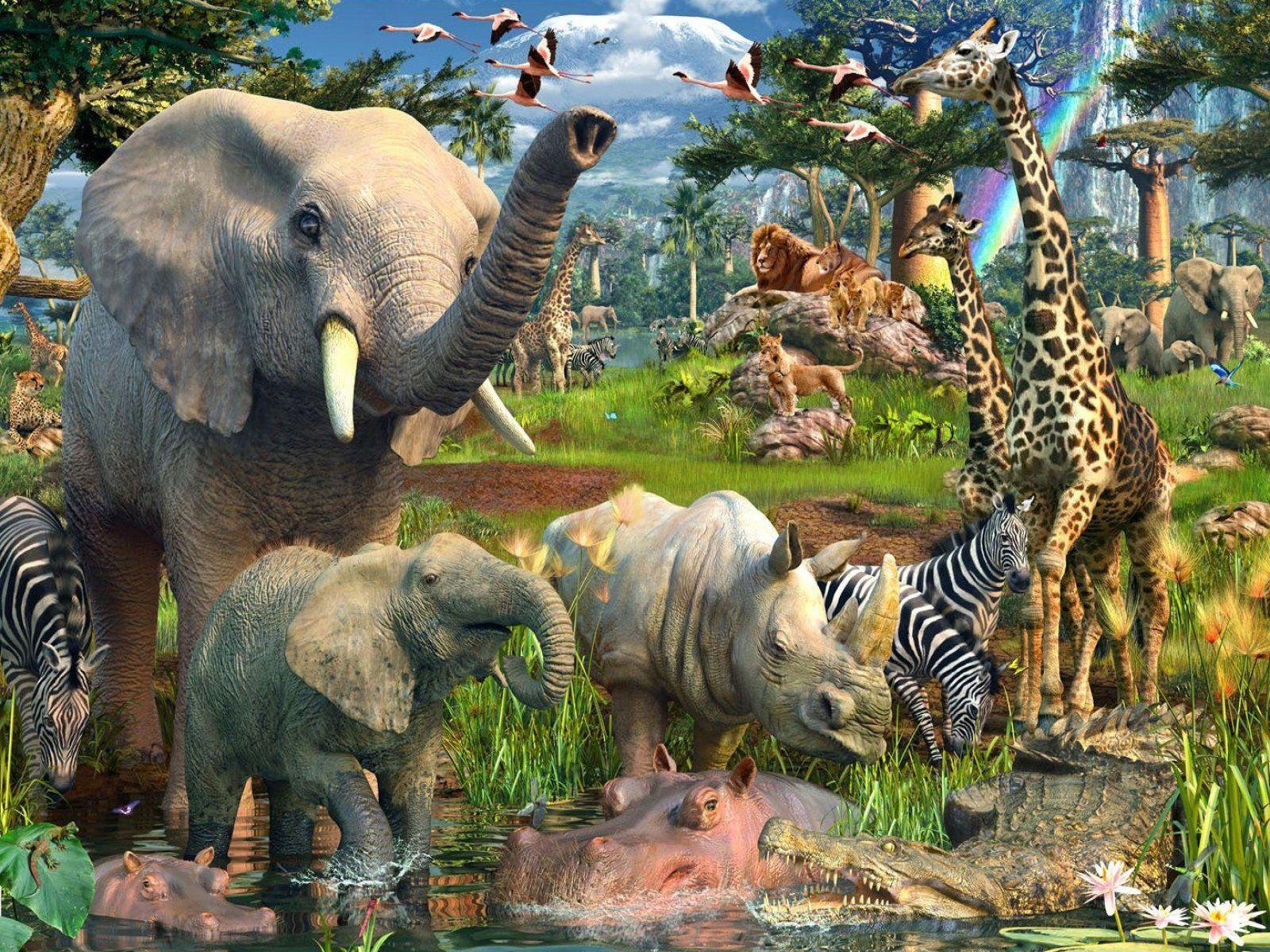 1600x1200 Free download Jungle Animals HD Wallpaper 1600x1200 [1600x1200] for your Desktop, Mobile & Tablet. Explore Safari Animal Wallpaper. Safari Wallpaper Border, Safari Print Wallpaper, Baby Safari Wallpaper