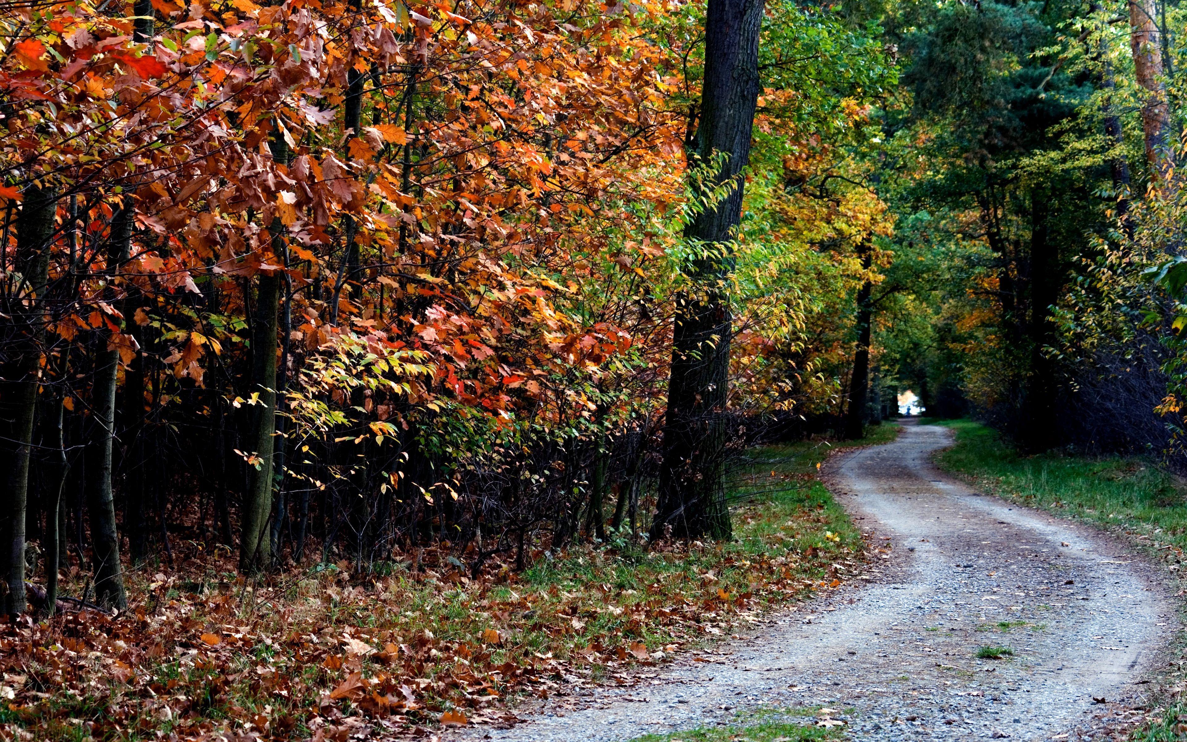 3840x2400 Download wallpaper 3840x2400 autumn .