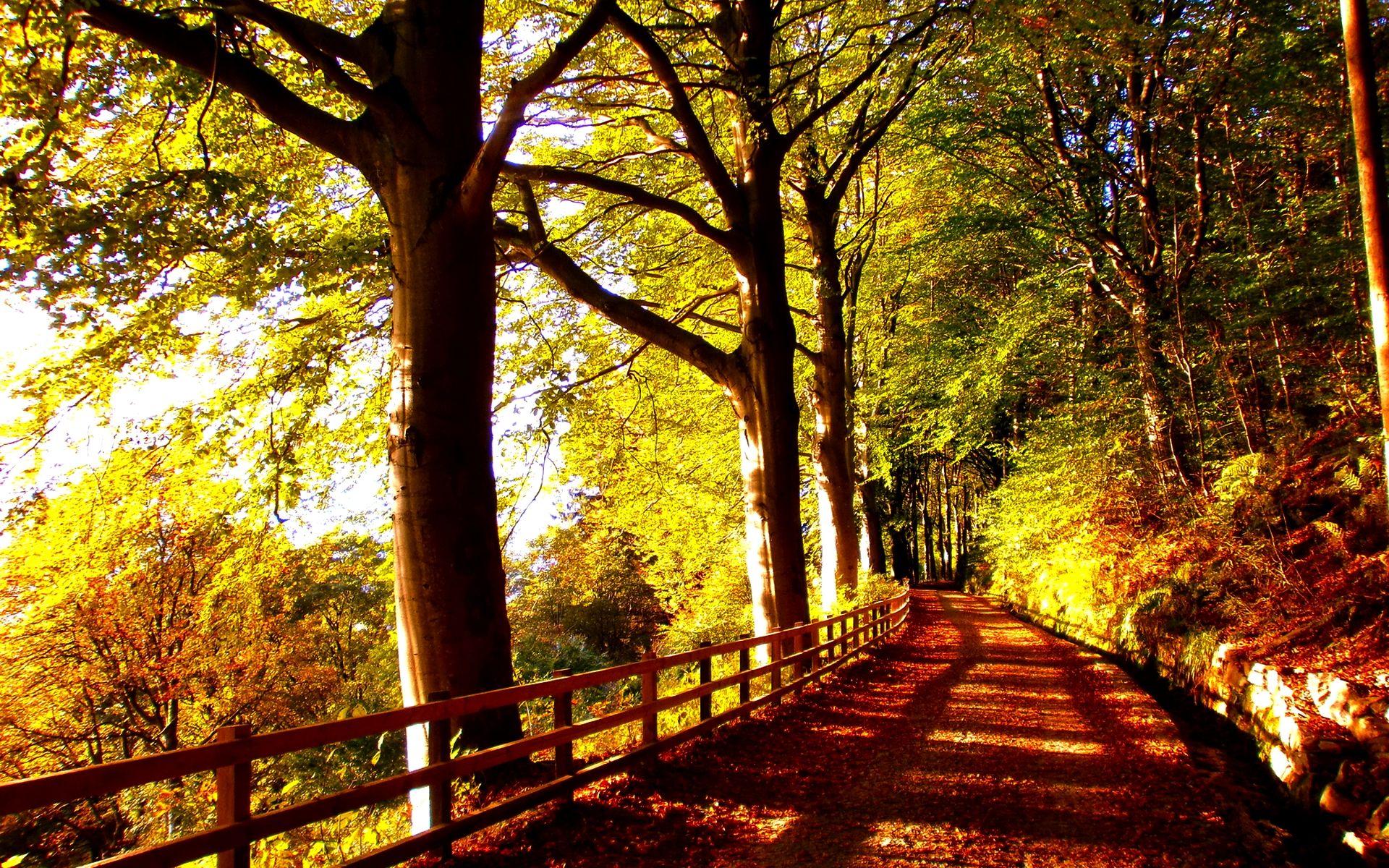 1920x1200 Trails Wallpaper .