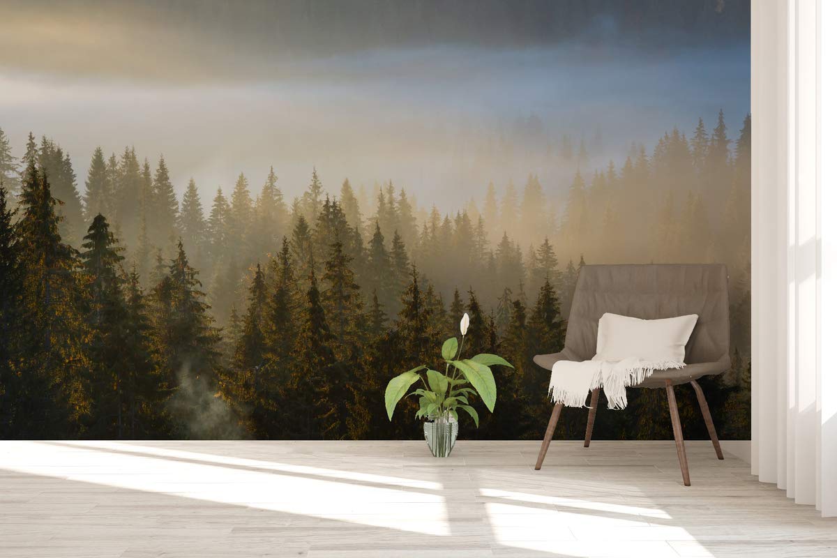 1200x800 Murwall Forest Wallpaper Misty Forest .