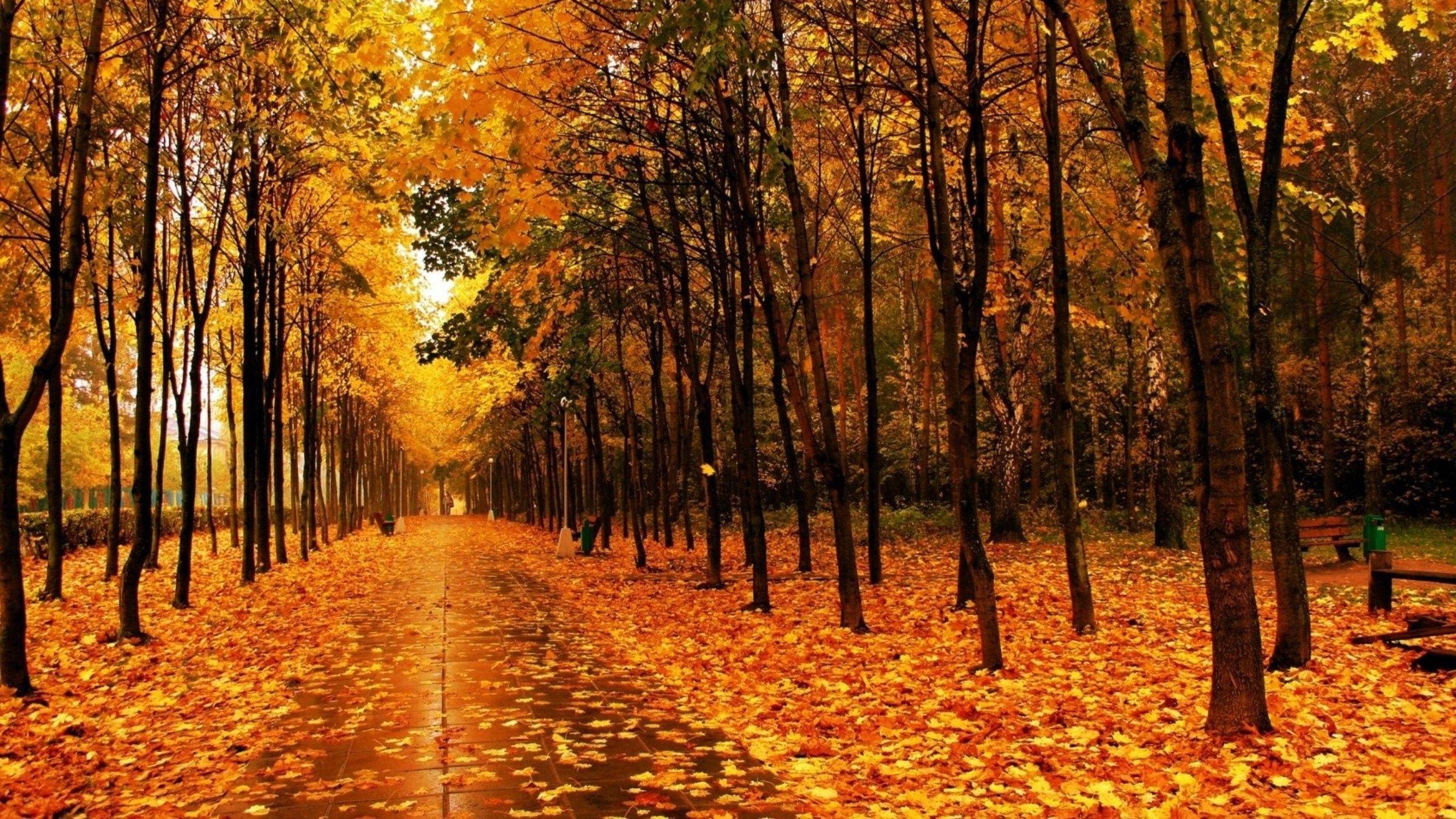 Poems About Autumn  Hd nature wallpapers, Fall season pictures