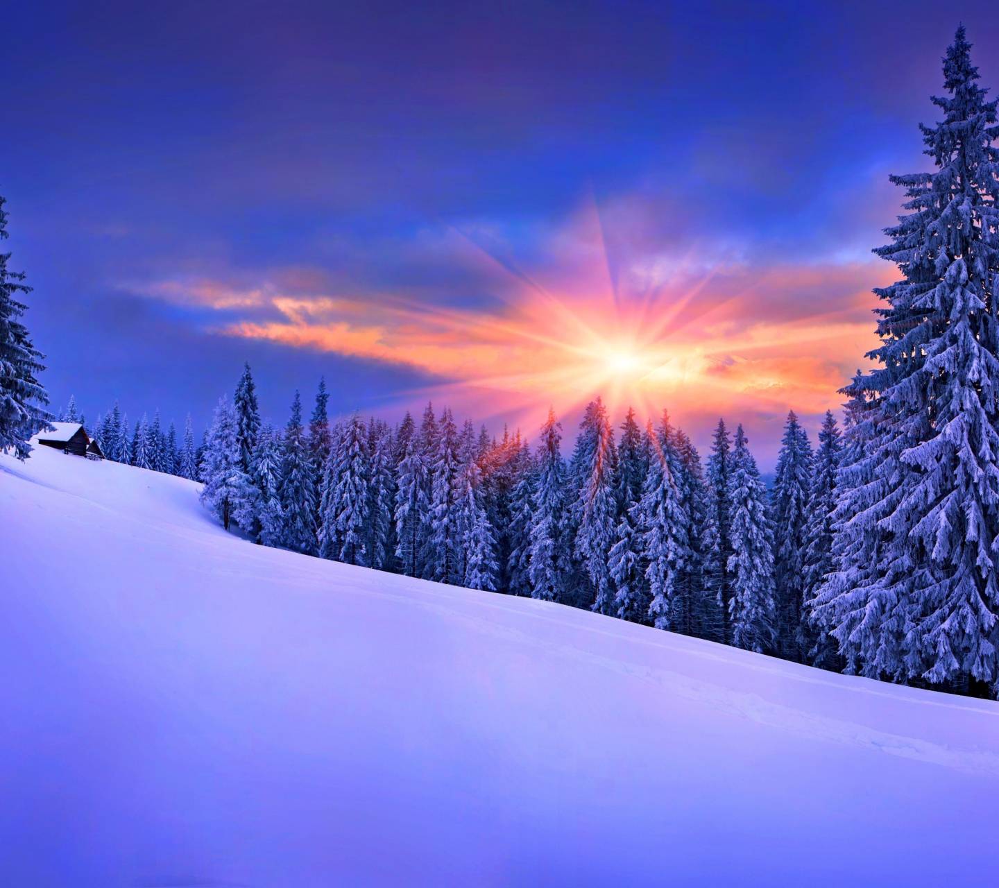 Winter Sunshine Wallpapers - Top Free Winter Sunshine Backgrounds ...