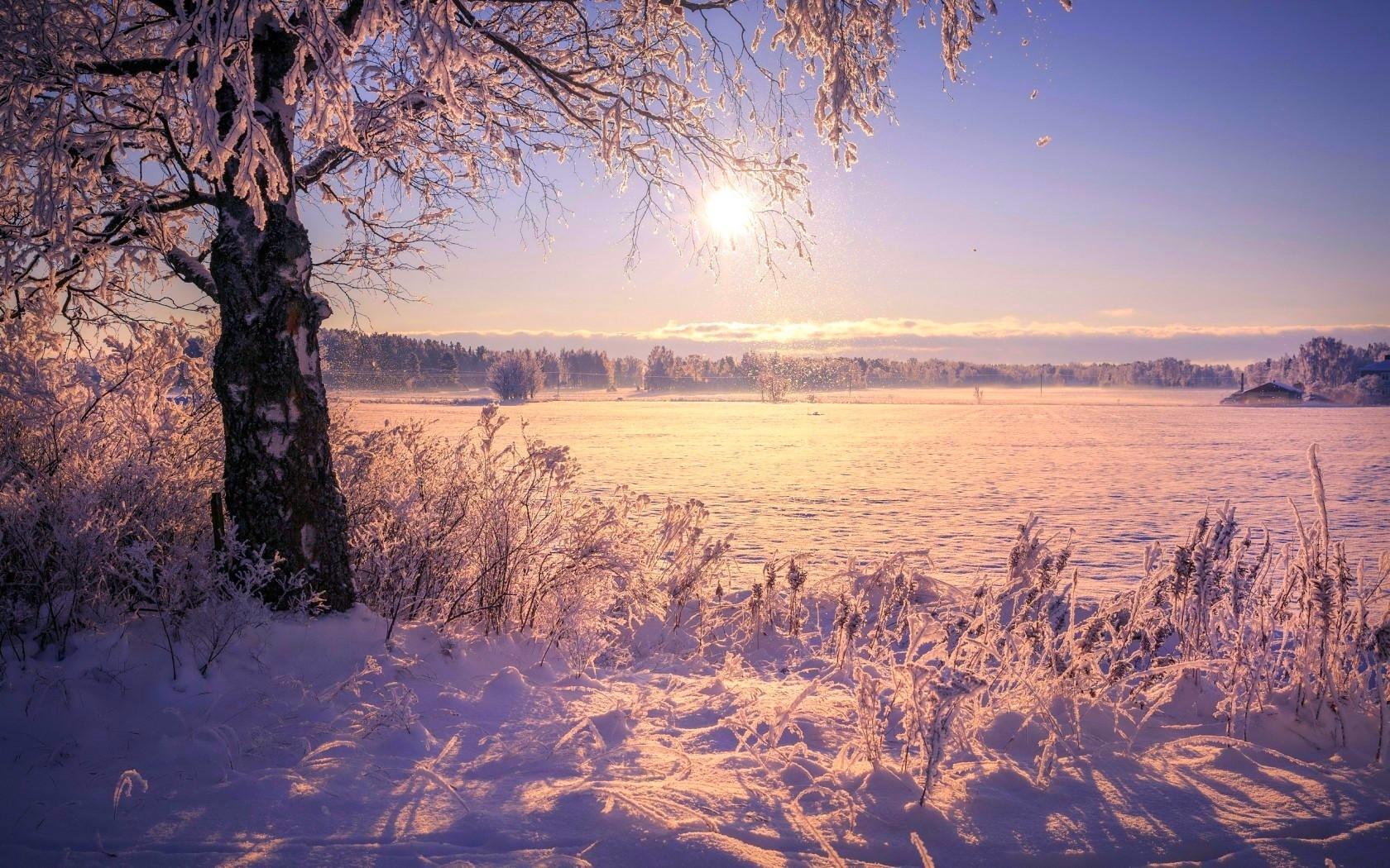 1680x1050 Winter Sunlight