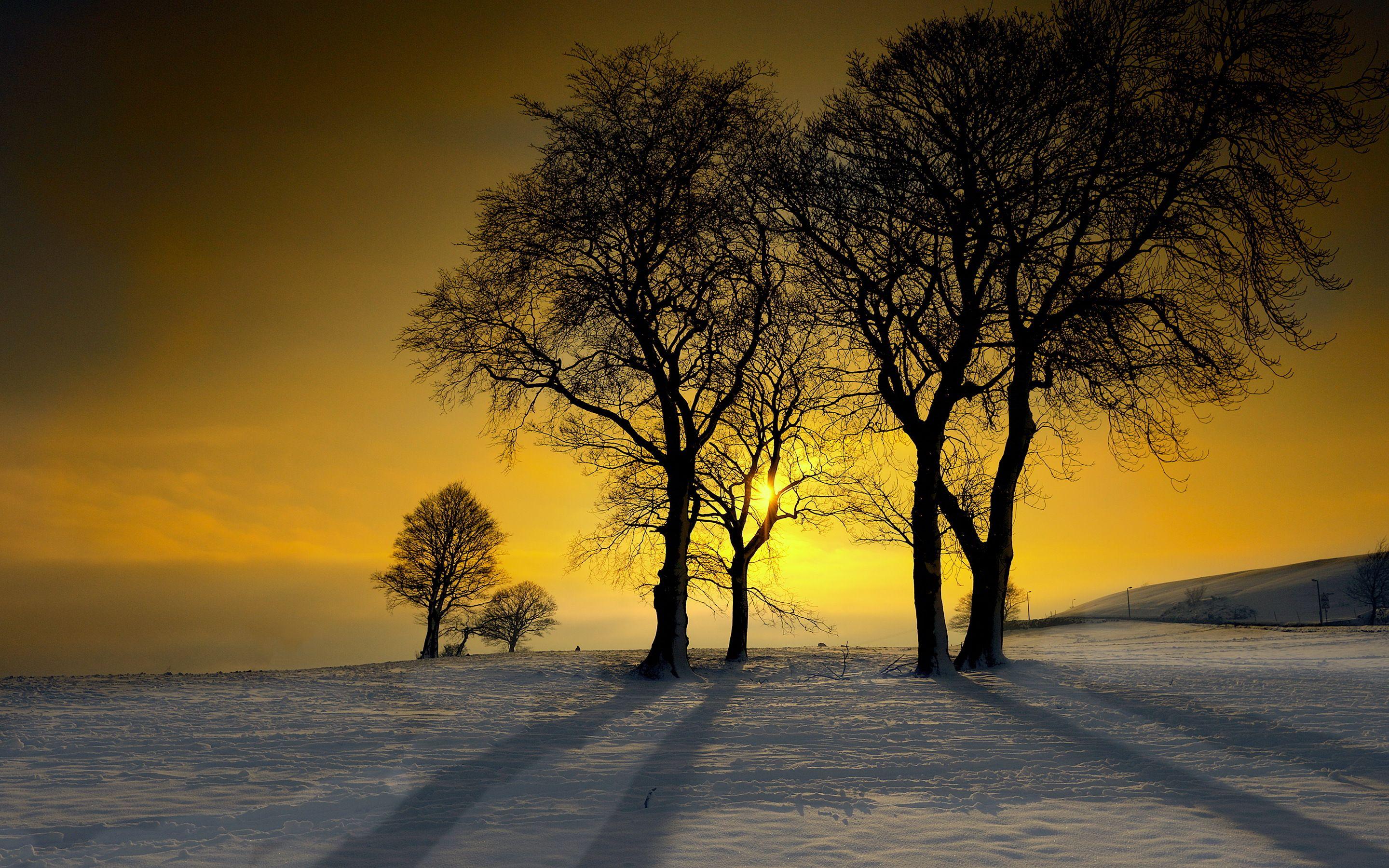 2880x1800 Winter sunshine glow -