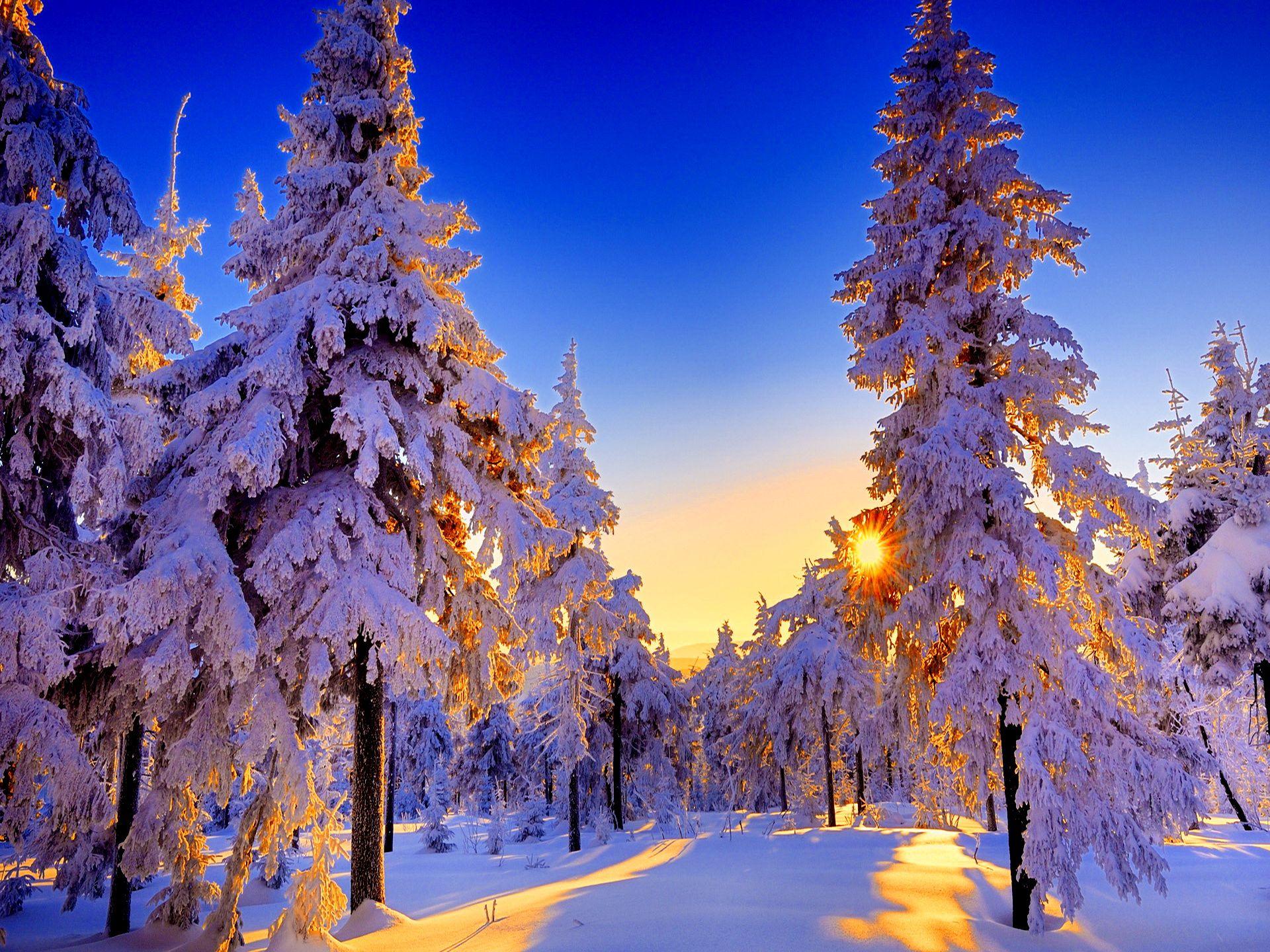 Winter Sunshine Wallpapers - Top Free Winter Sunshine Backgrounds ...