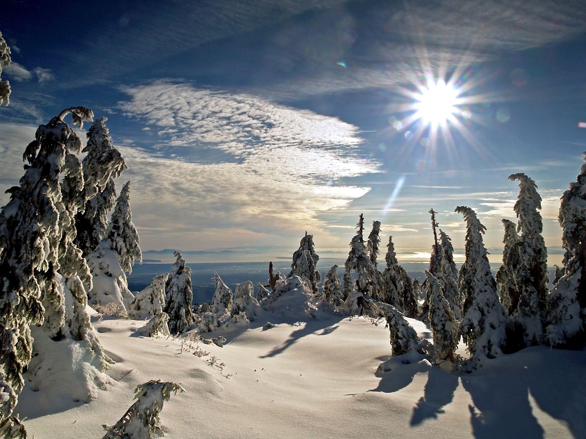 1920x1440 Winter Nature