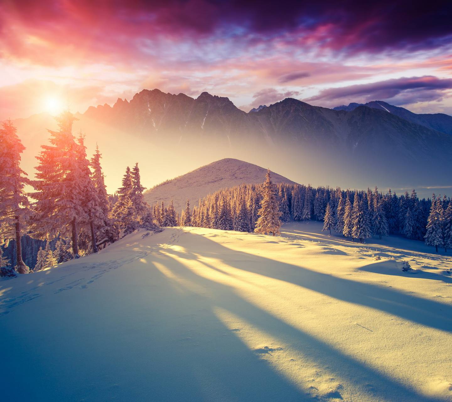1440x1280 Winter Sun wallpaper by ____S .