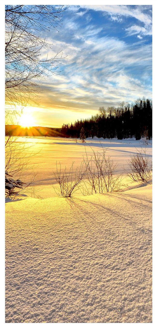 650x1361 Winter Sunshine Mobile Wallpaper .