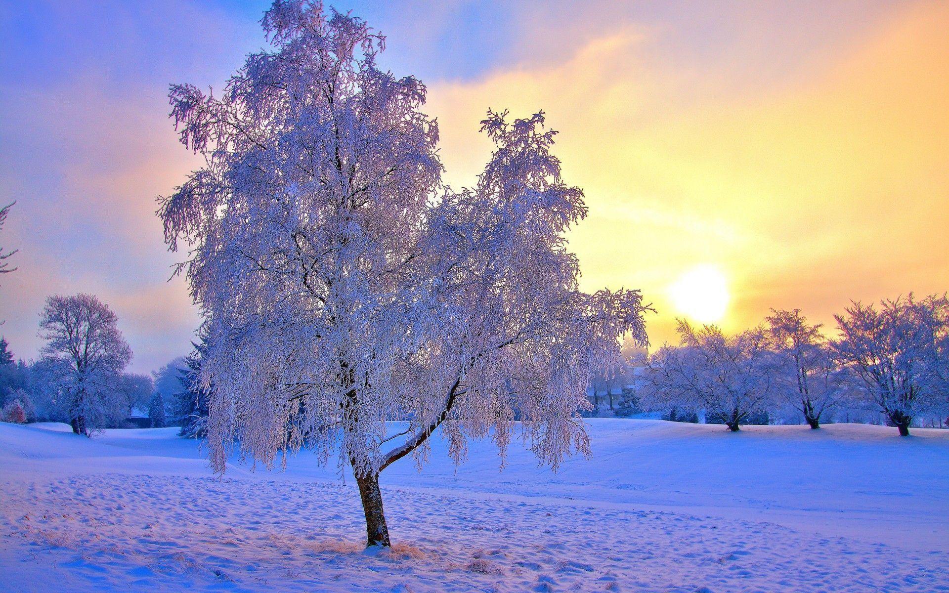 1920x1200 Free Winter Picture Wallpaper posted .