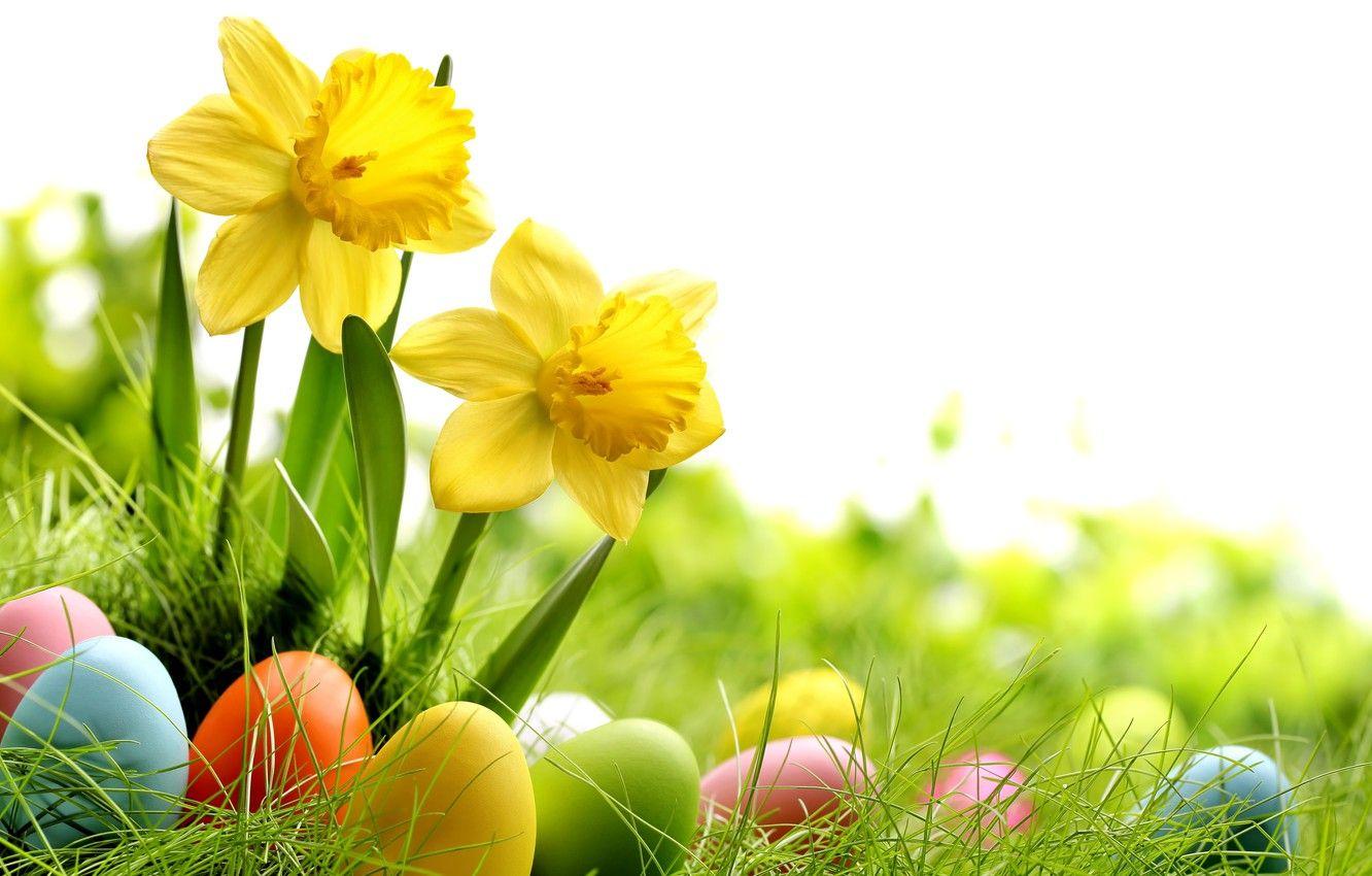 1332x850 Wallpaper grass, flowers, eggs, spring .