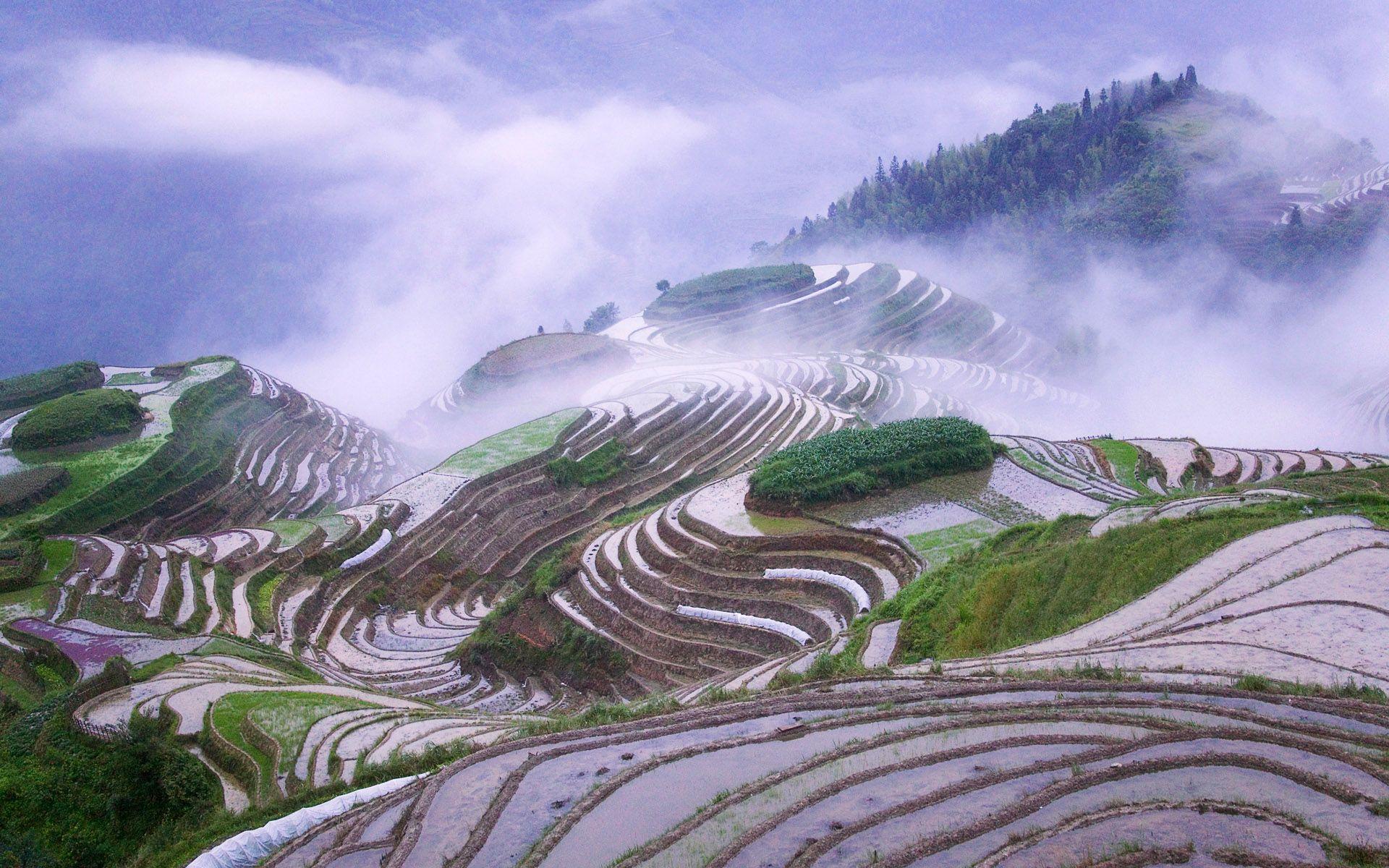 1920x1200 Rice terraces in early morning mist .wallpaper.
