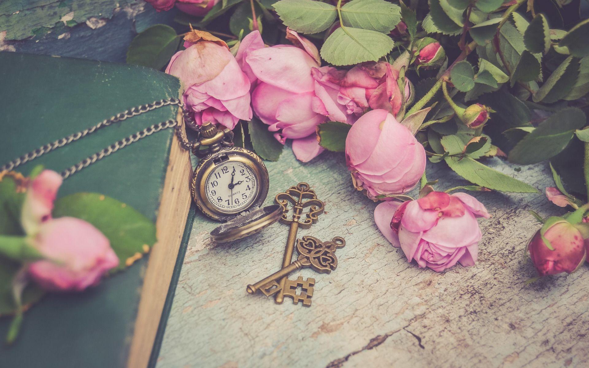 1920x1200 pink roses .