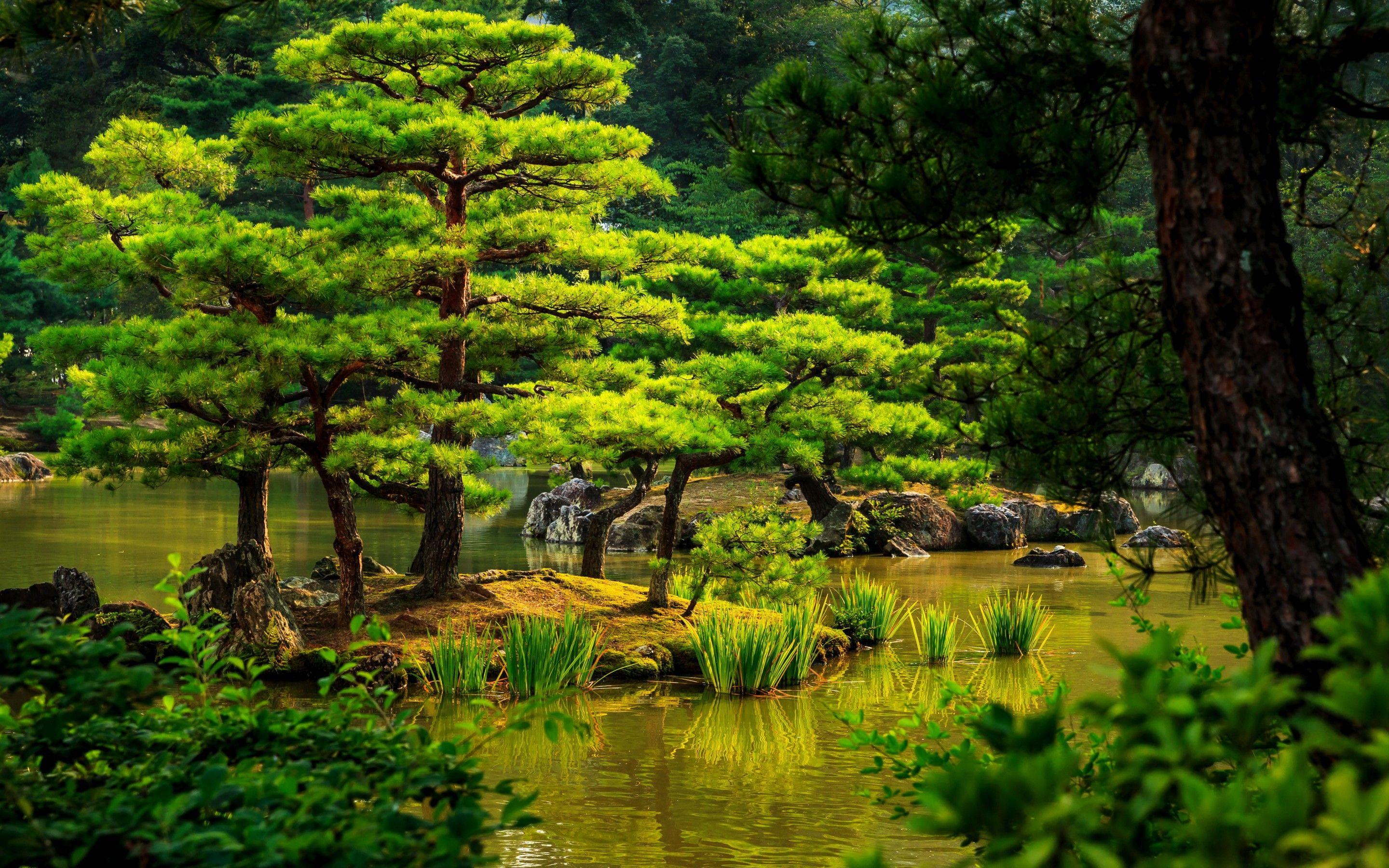 Japanese Tea Garden Wallpapers Top Free Japanese Tea Garden