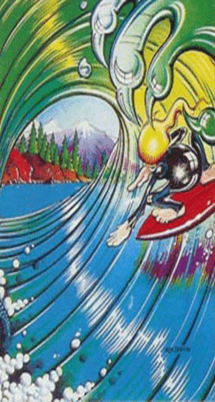 744x1392 Surfboard iPhone Wallpaper