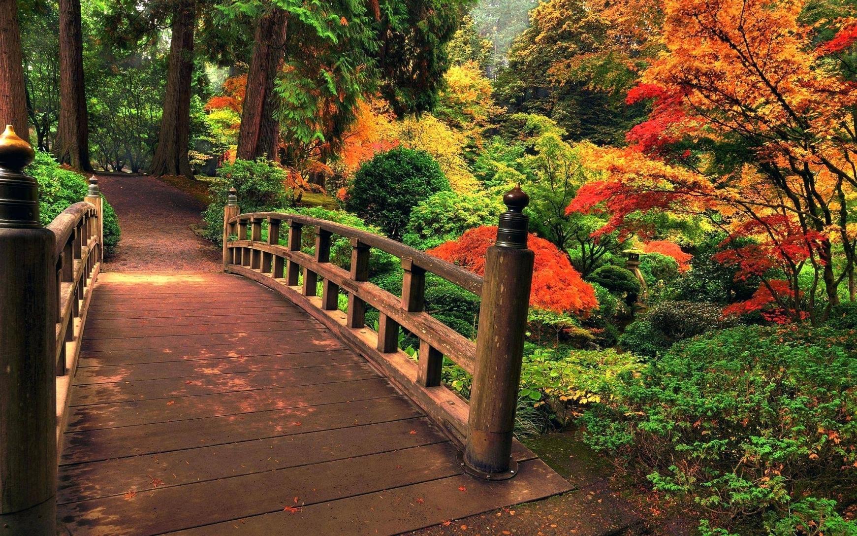 Japanese Tea Garden Wallpapers - Top Free Japanese Tea Garden