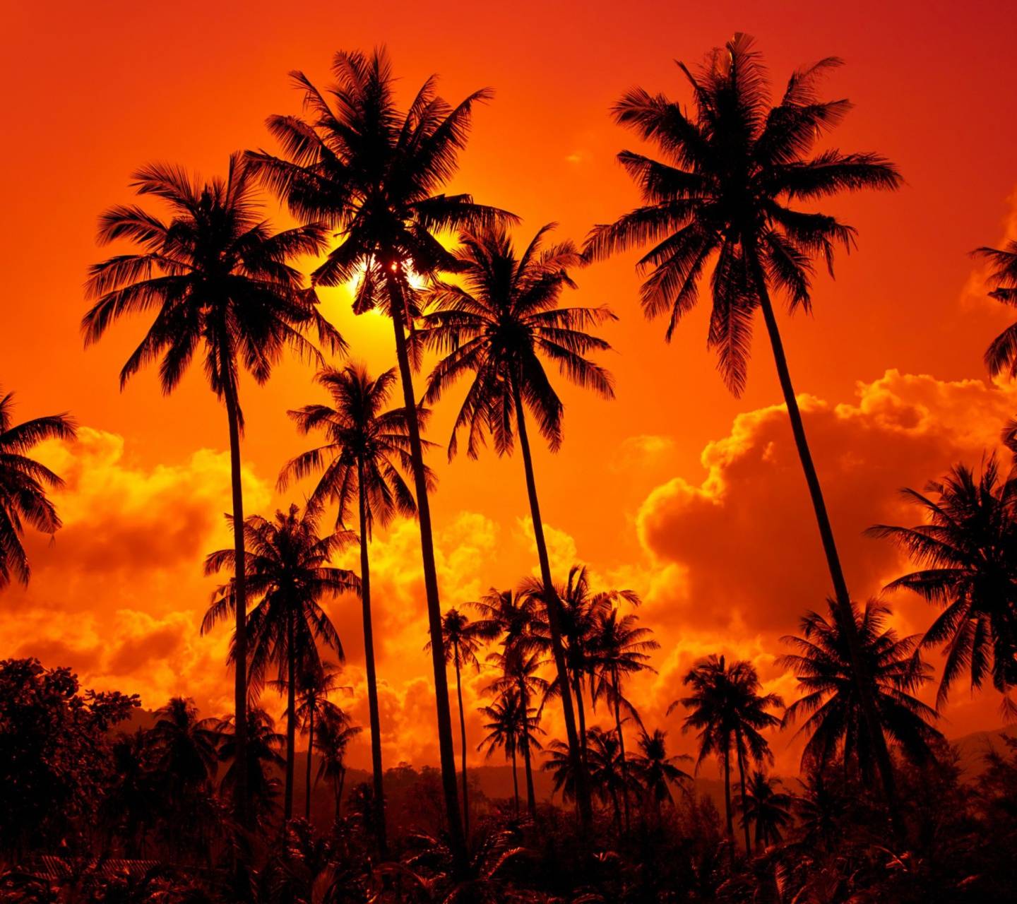 1440x1280 Sunset Thailand wallpaper by __KoniG__ .