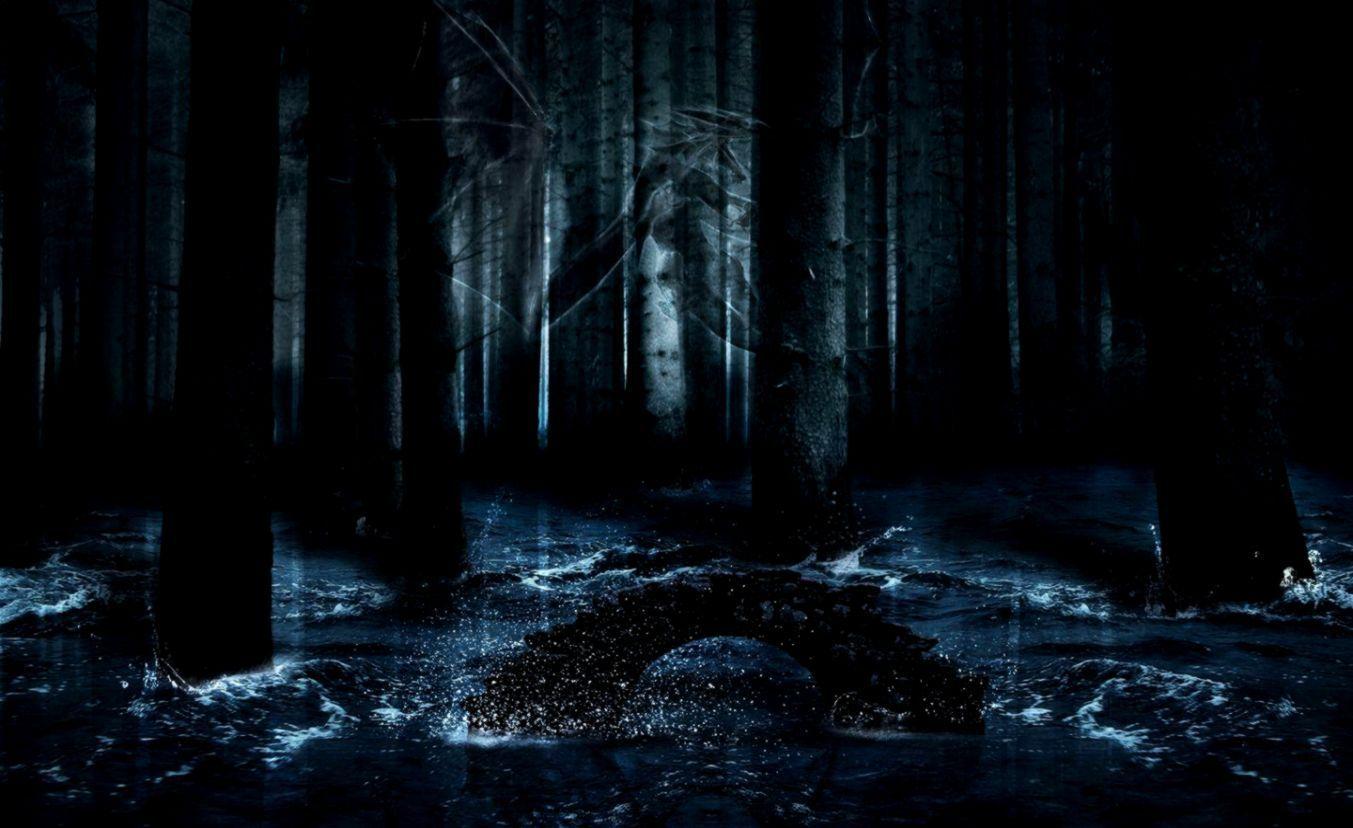 1353x828 Anime Dark Forest Wallpaper on .wallpaper.dog