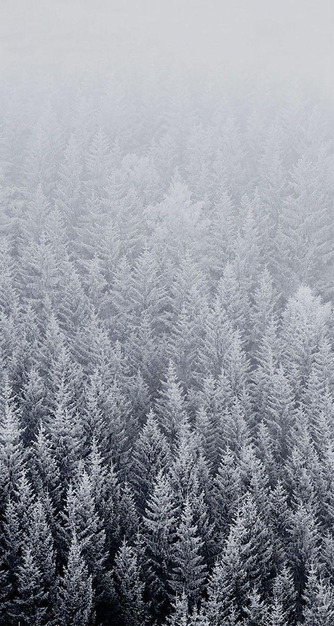 684x1280 Image about white in Wallpaper by Sara .