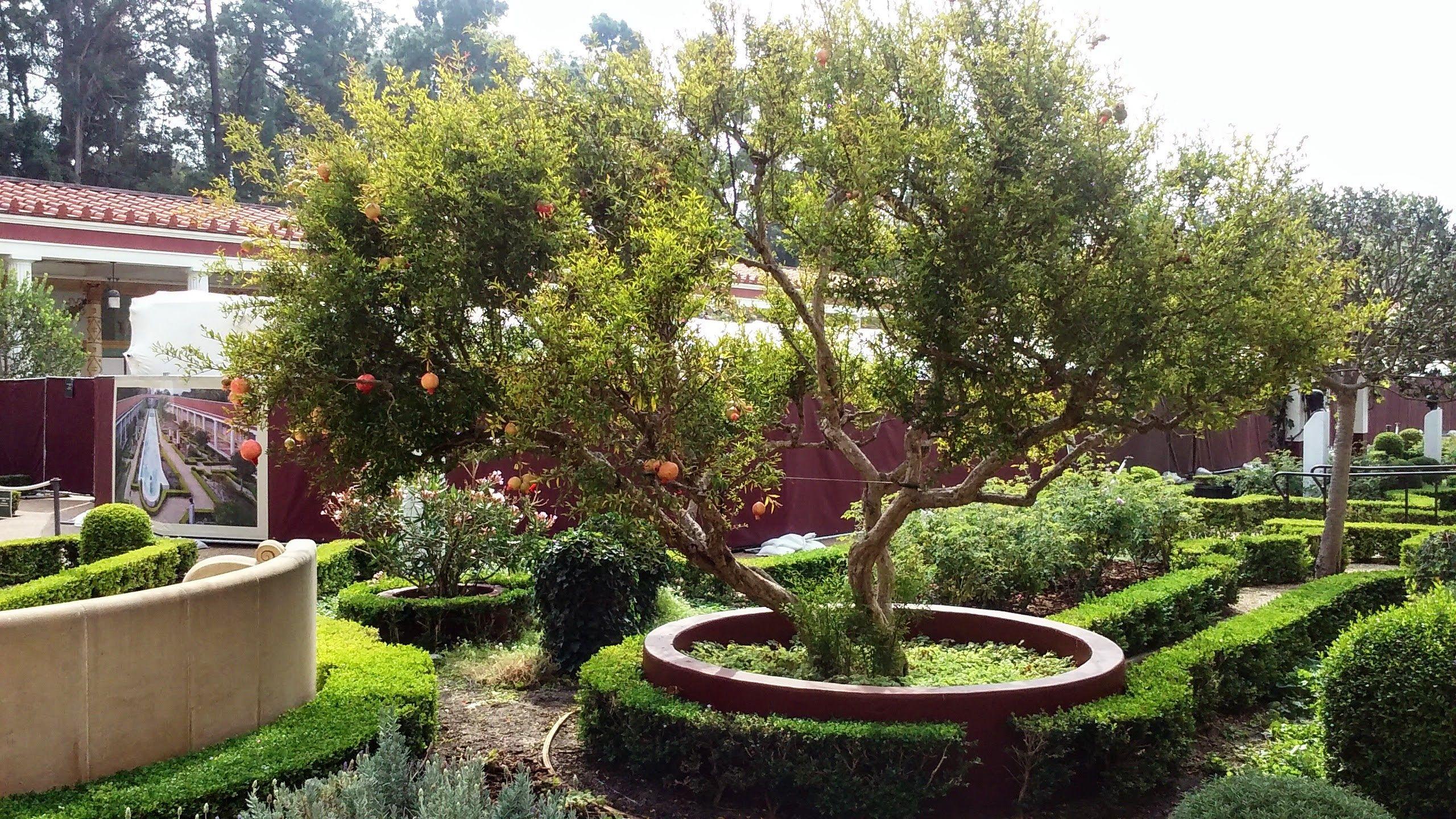2560x1440 Pomegranate at Roman country house .