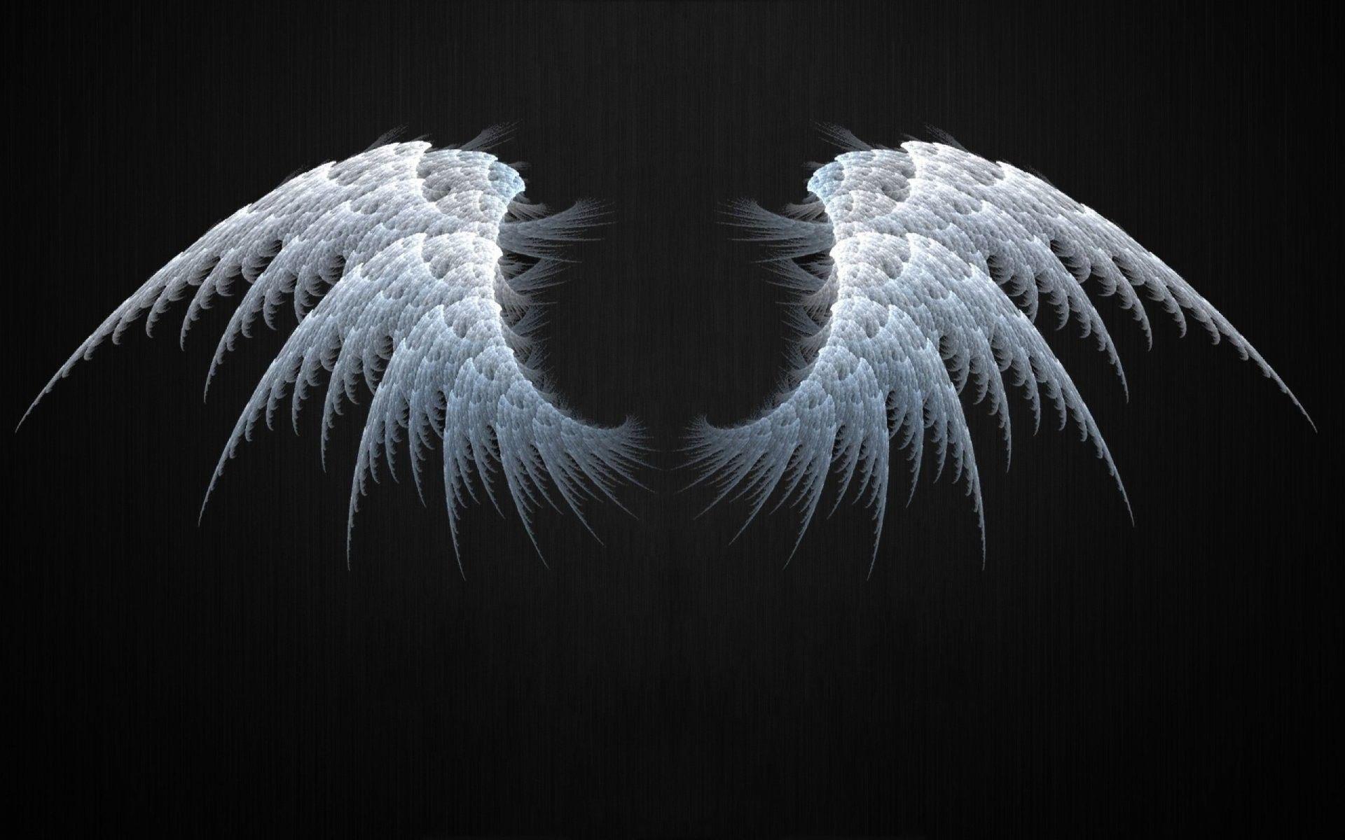 1920x1200 Angel Wings Wallpaper background .