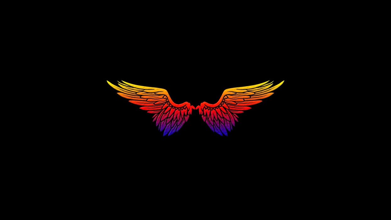 1244x700 Angels wings black minimalistic simple .